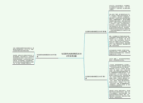 社区新风尚新闻稿范文300字(实用3篇)