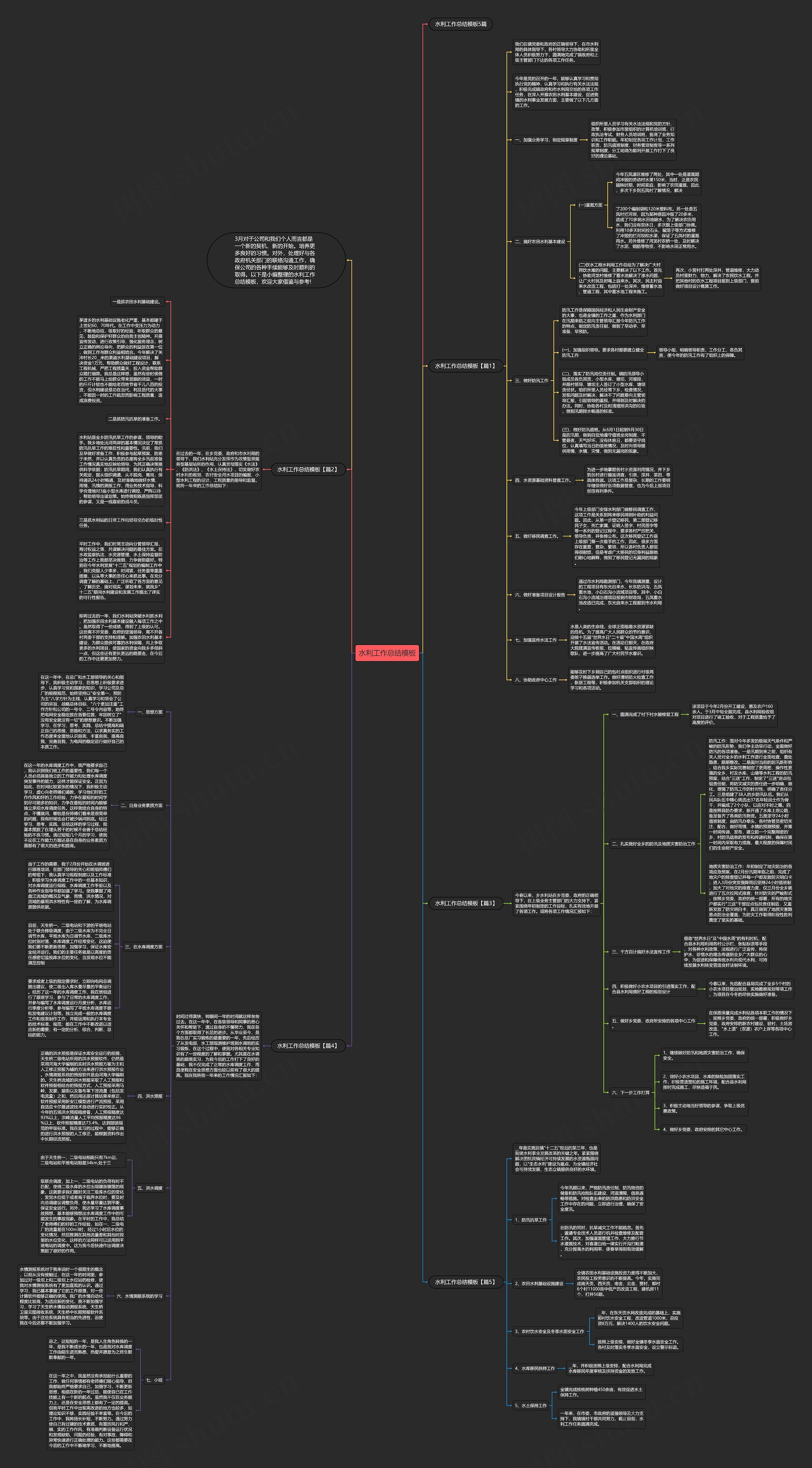 水利工作总结模板