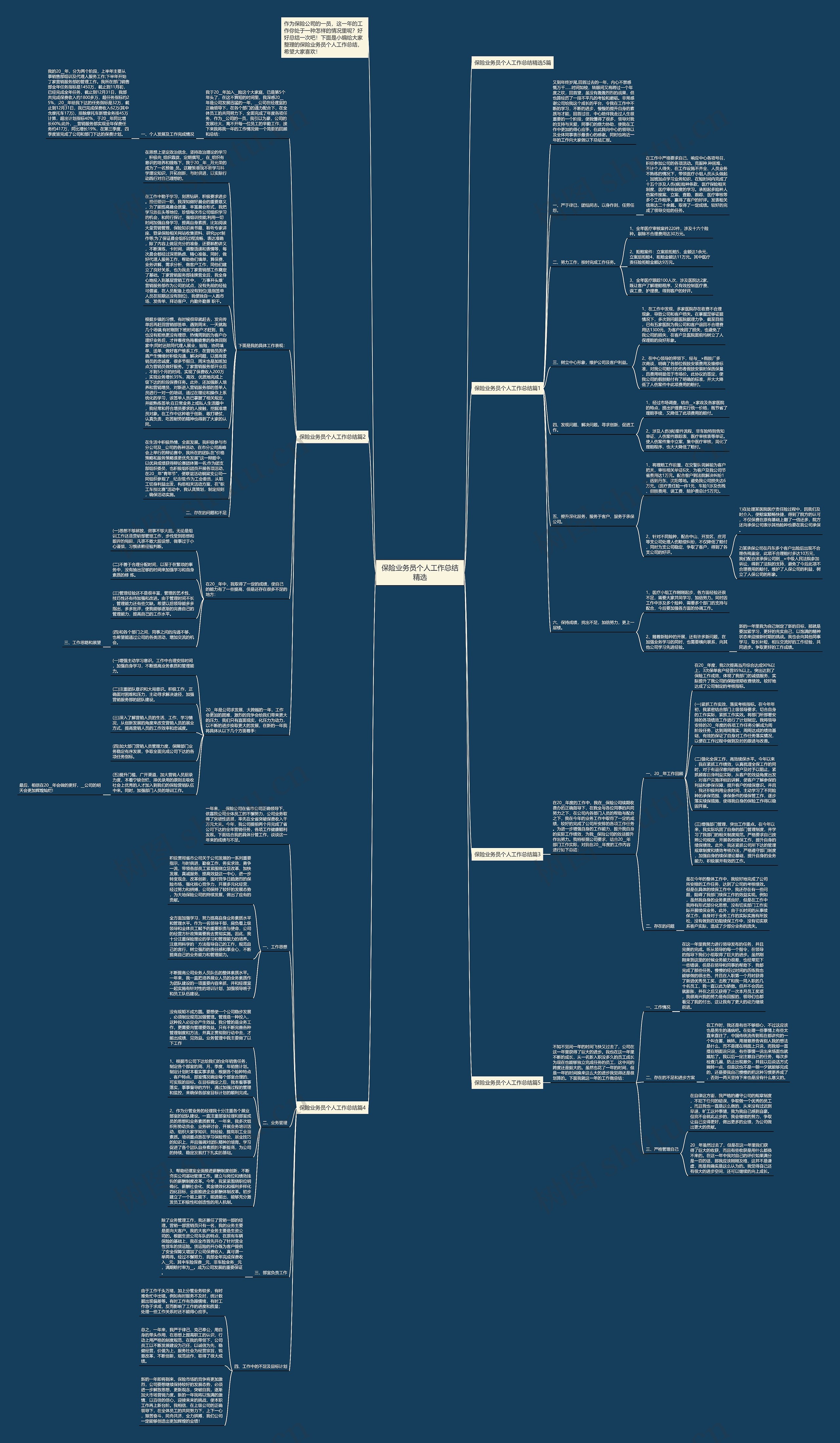 保险业务员个人工作总结精选思维导图