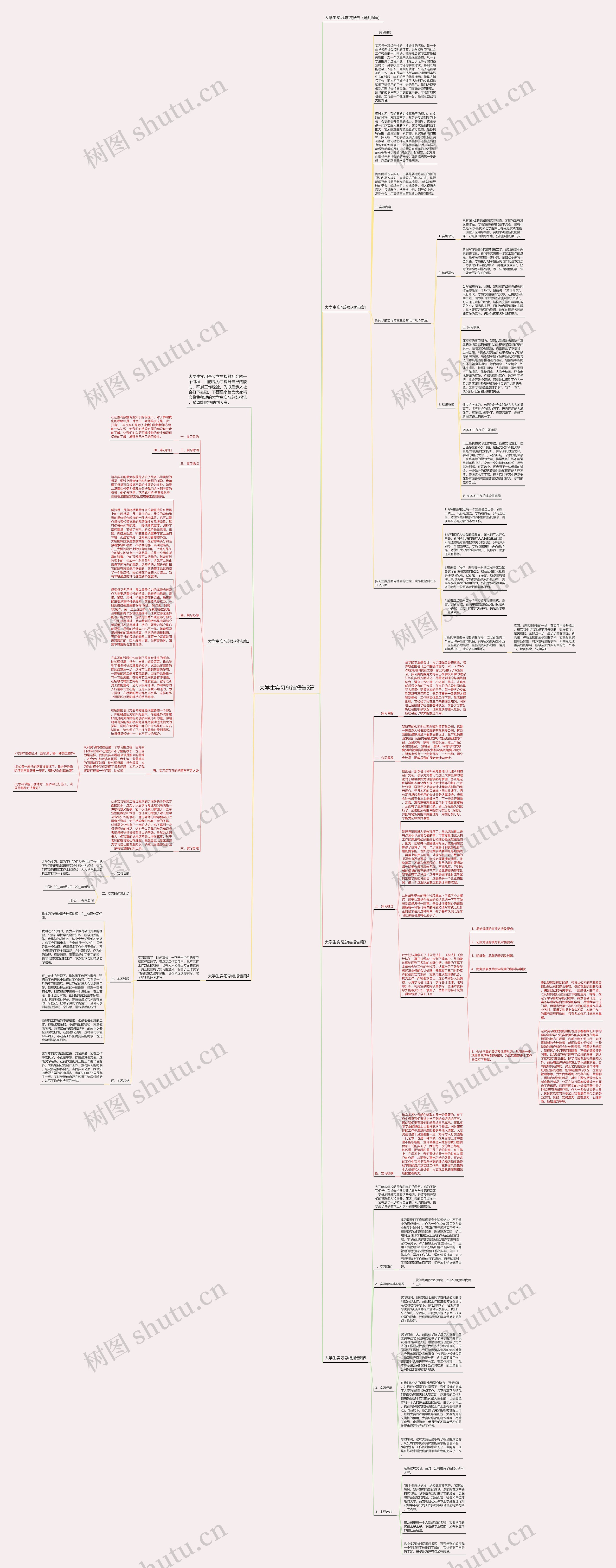 大学生实习总结报告5篇思维导图