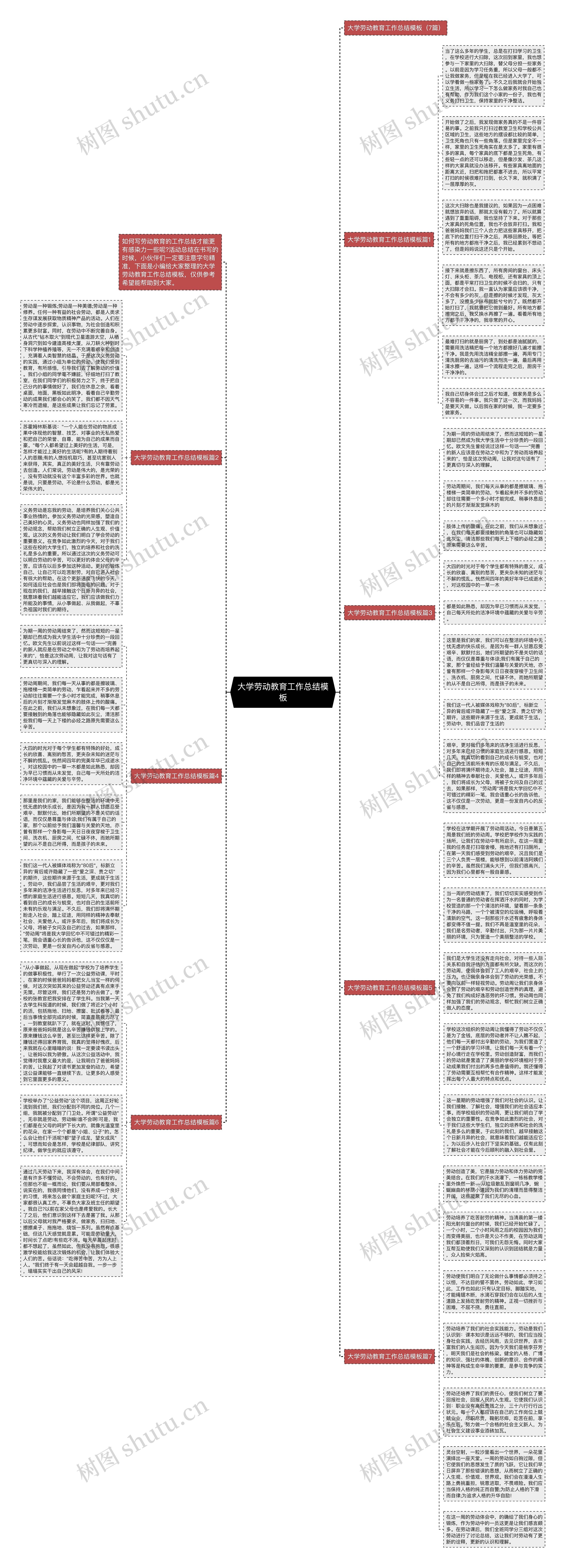 大学劳动教育工作总结思维导图
