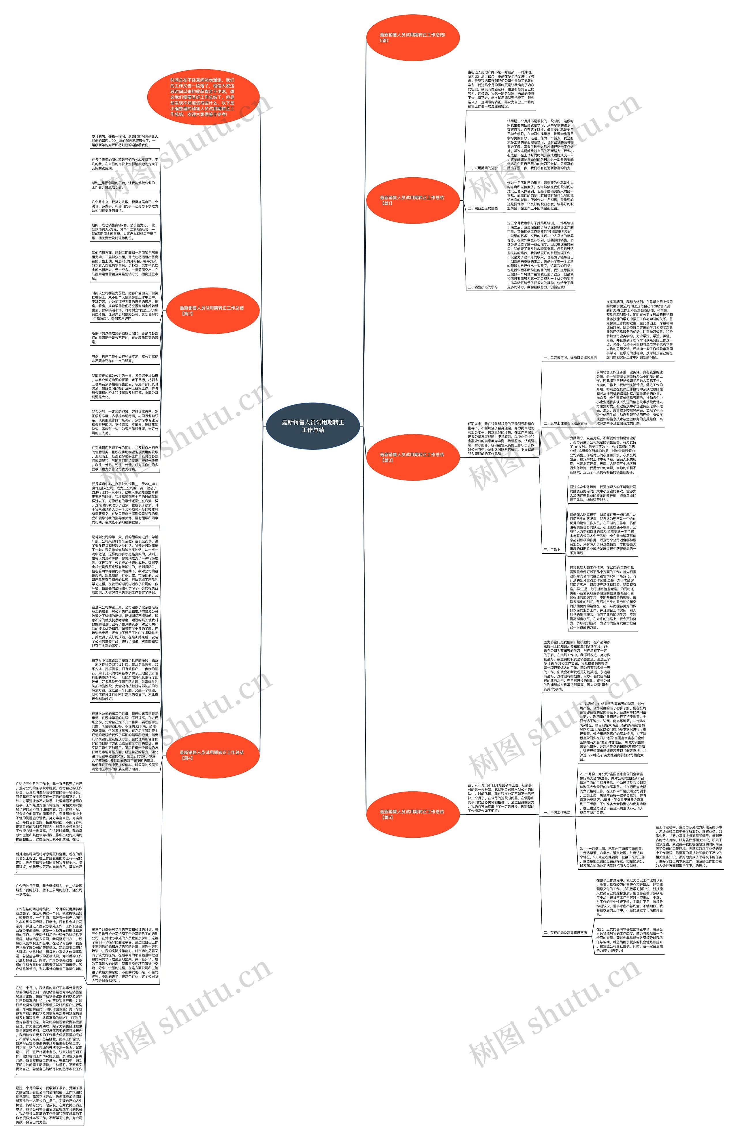 最新销售人员试用期转正工作总结思维导图
