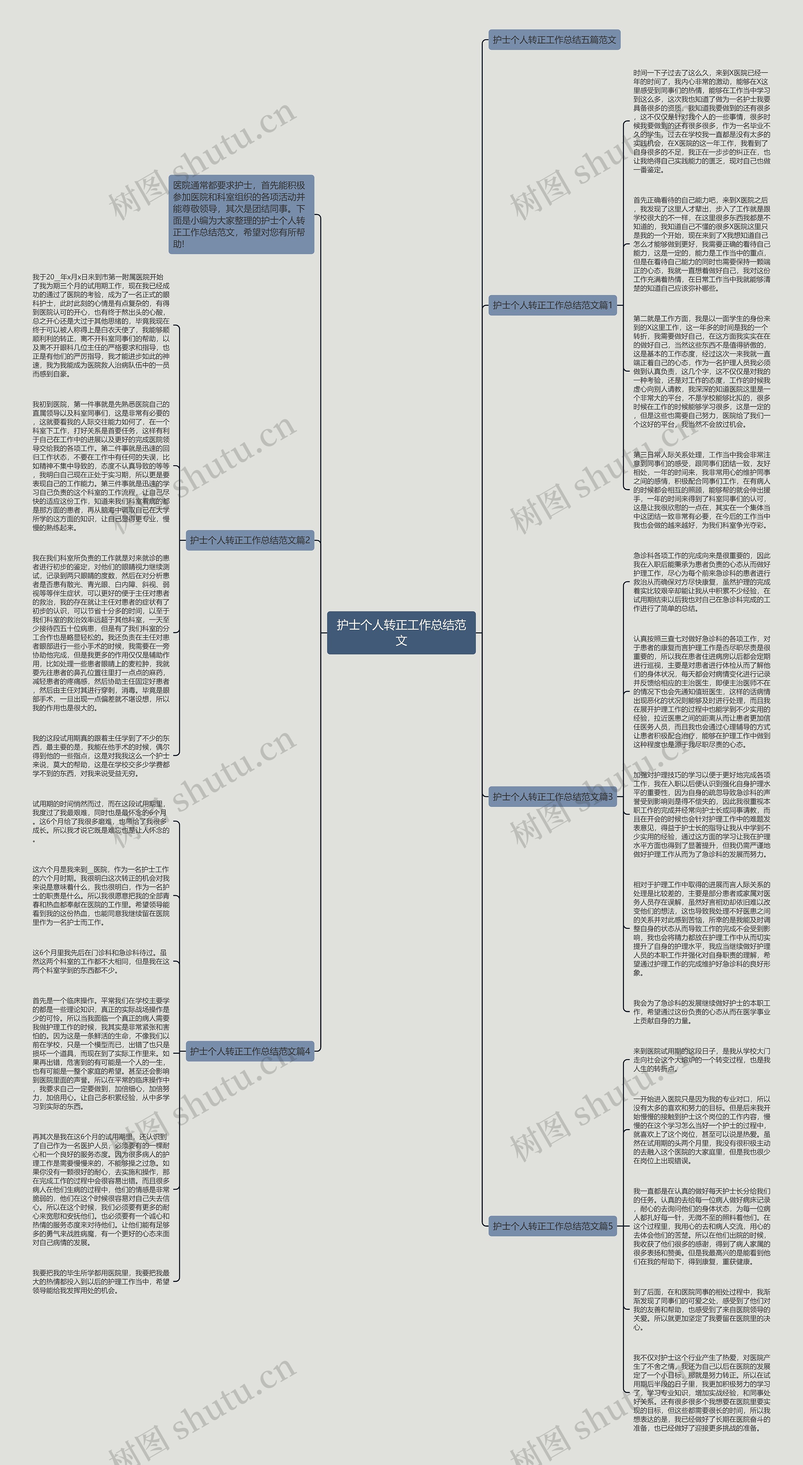 护士个人转正工作总结范文思维导图