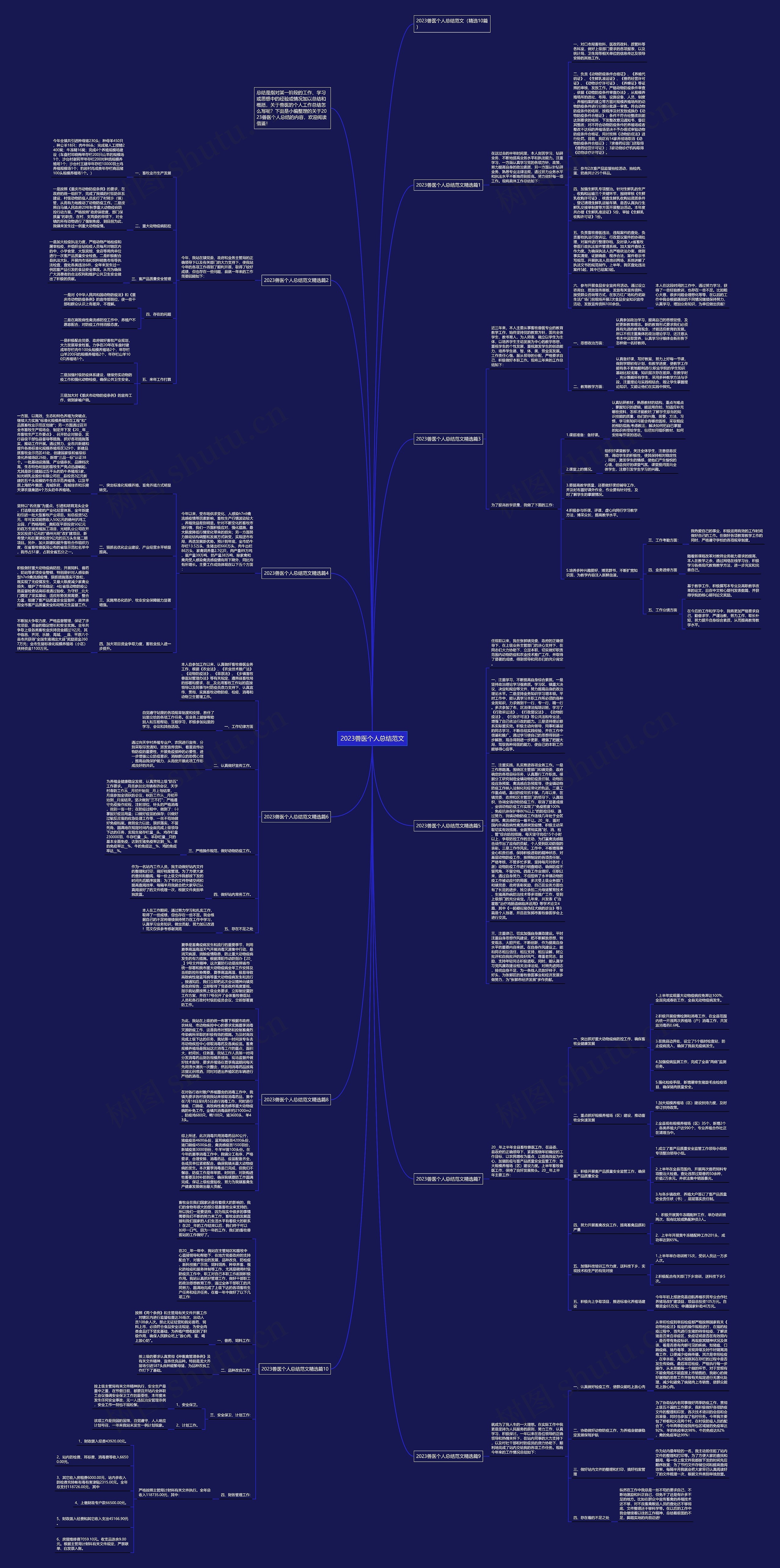 2023兽医个人总结范文思维导图