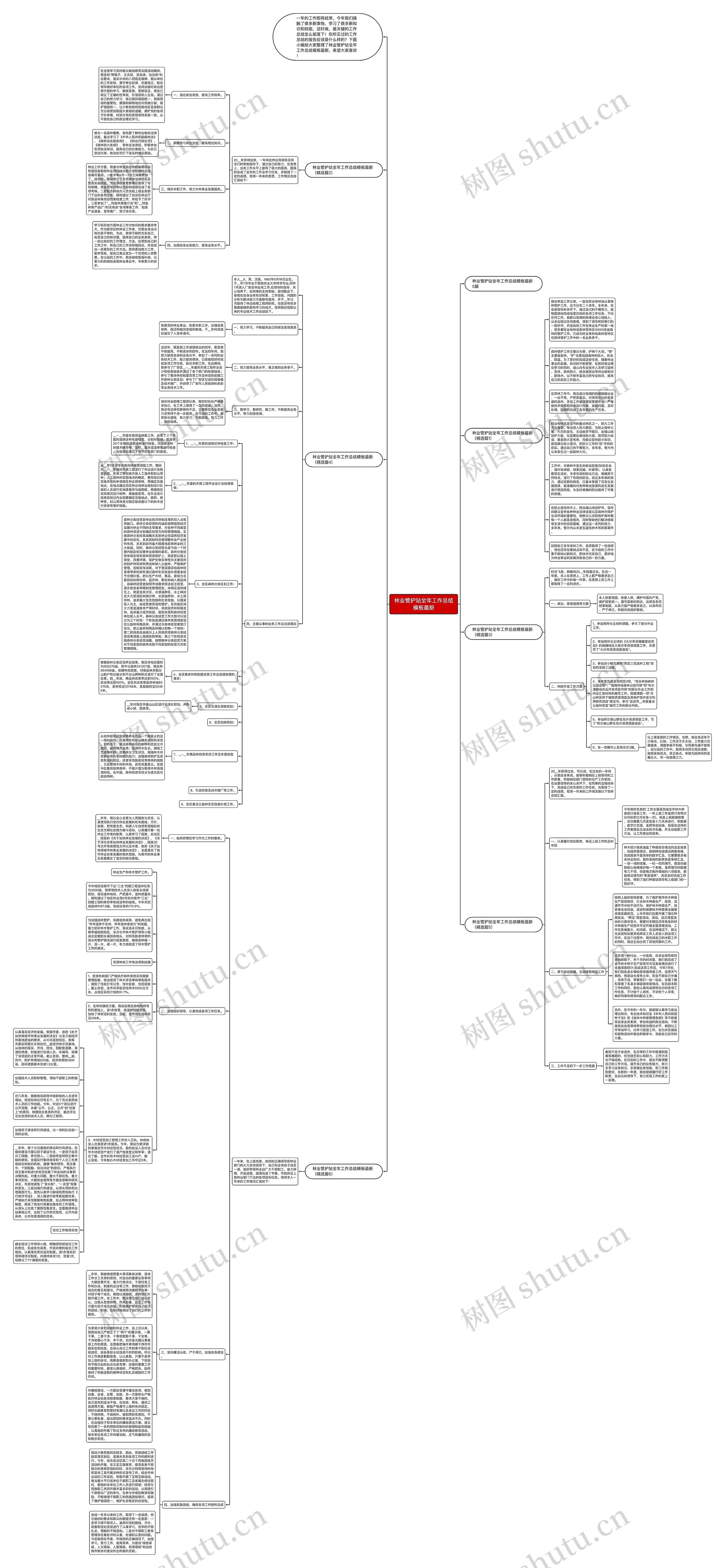 林业管护站全年工作总结最新思维导图