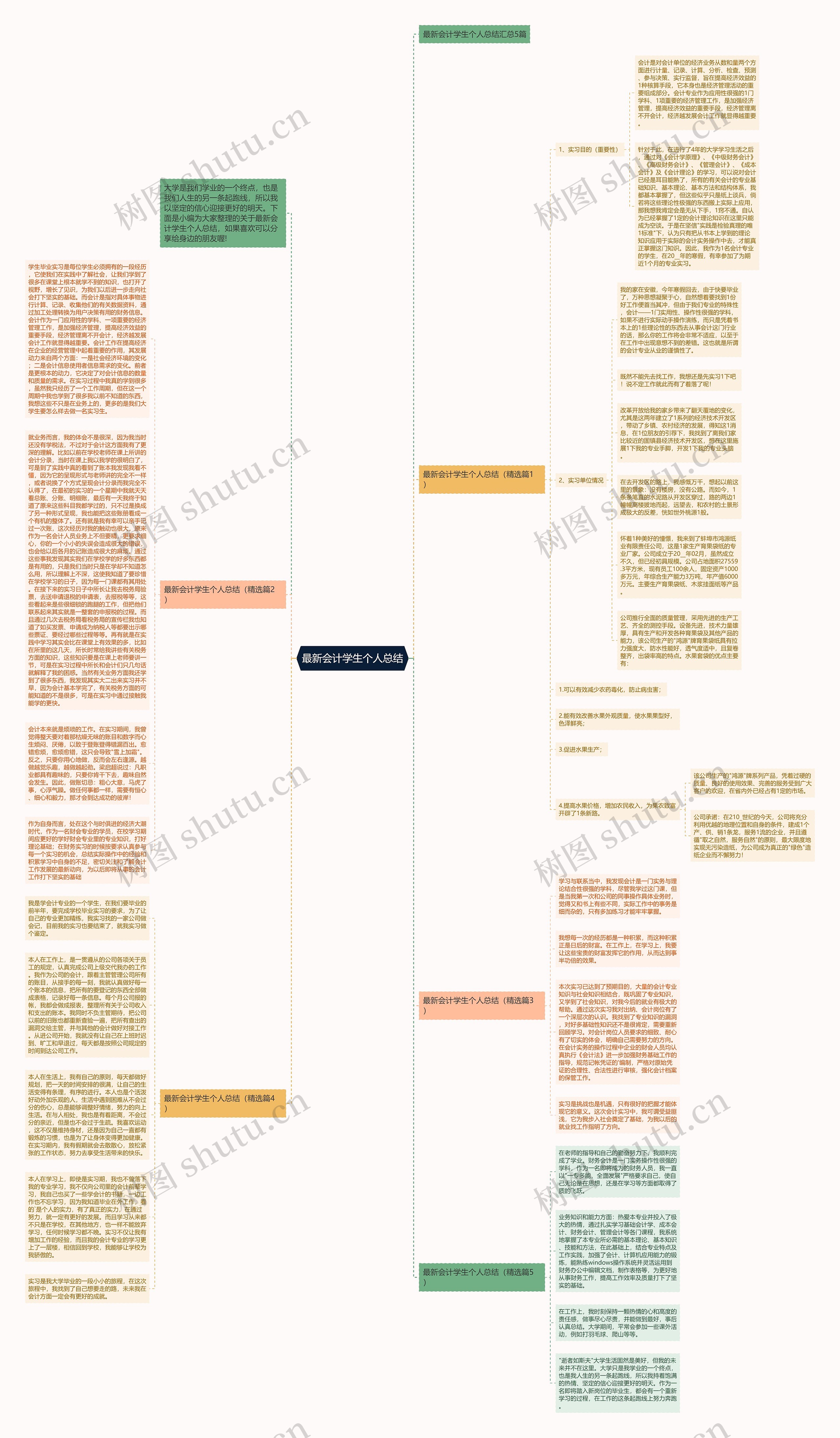 最新会计学生个人总结思维导图