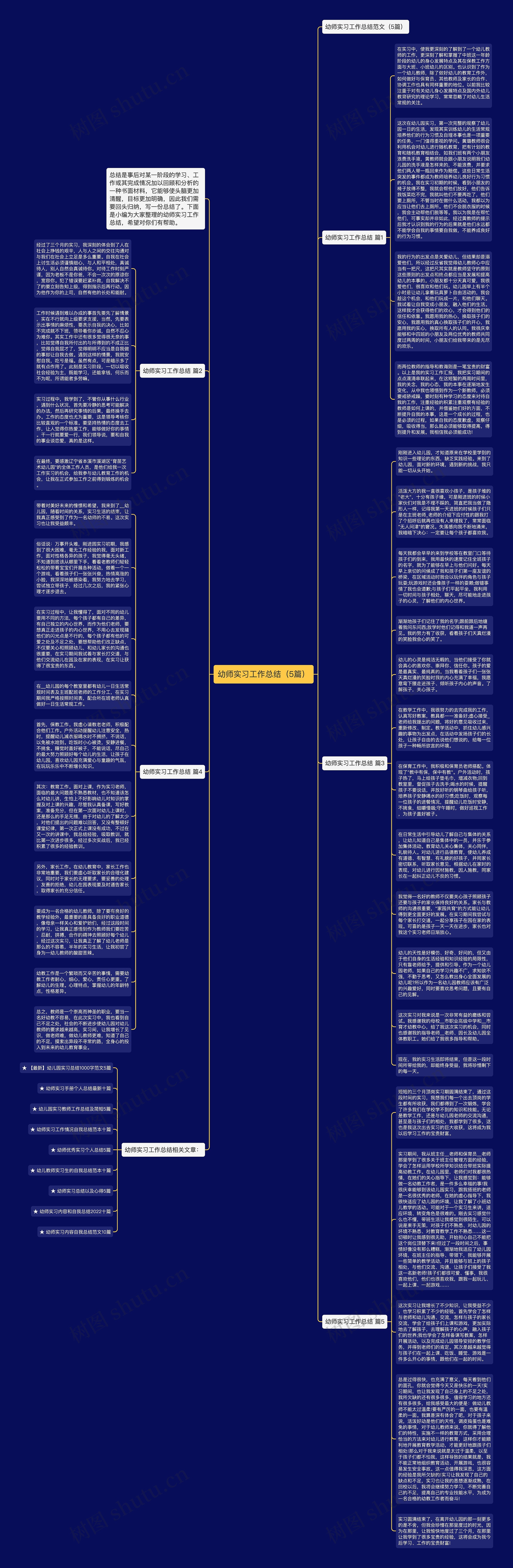 幼师实习工作总结（5篇）思维导图