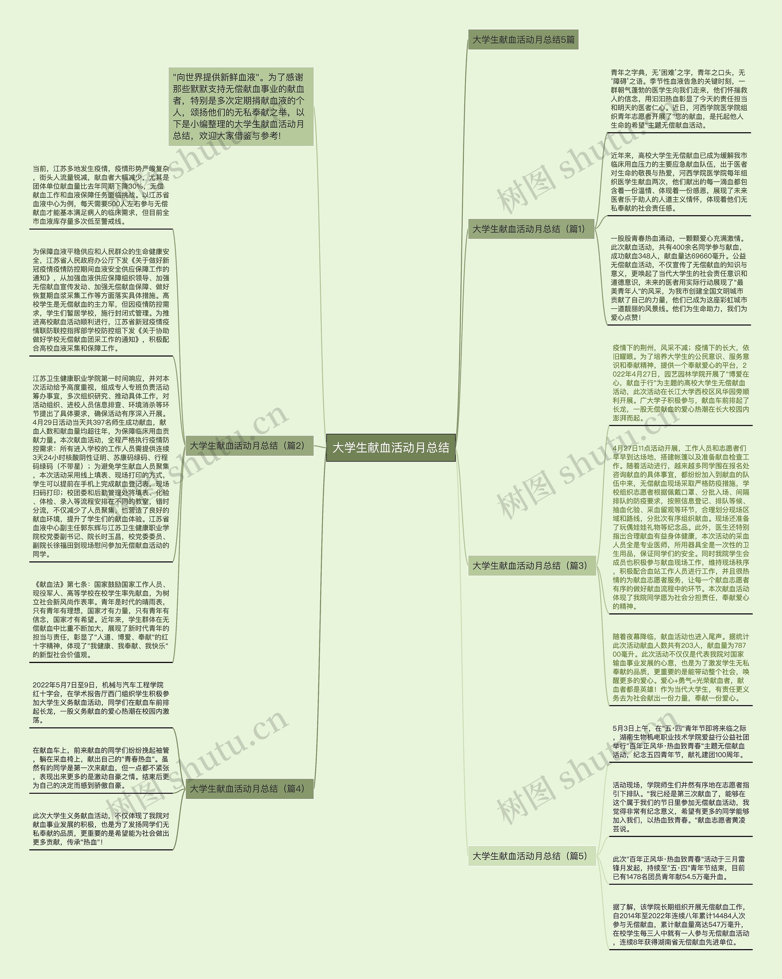 大学生献血活动月总结思维导图