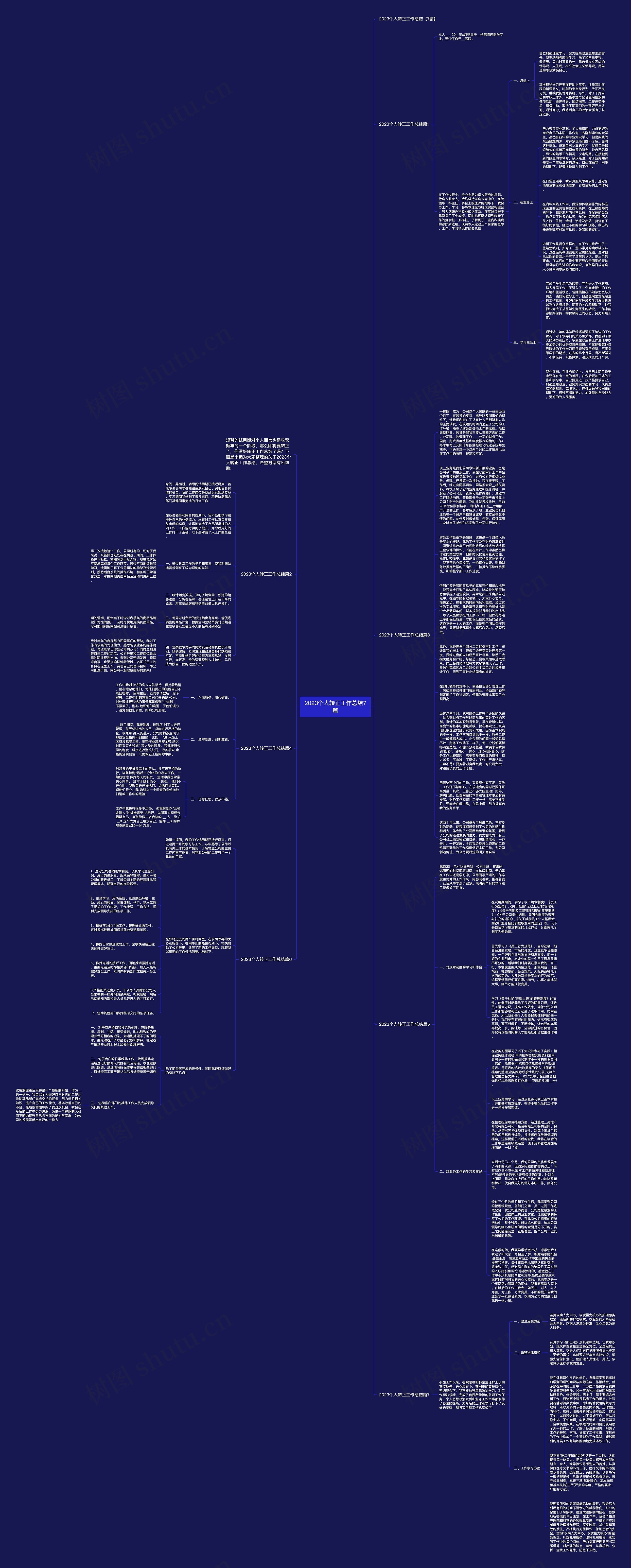 2023个人转正工作总结7篇思维导图