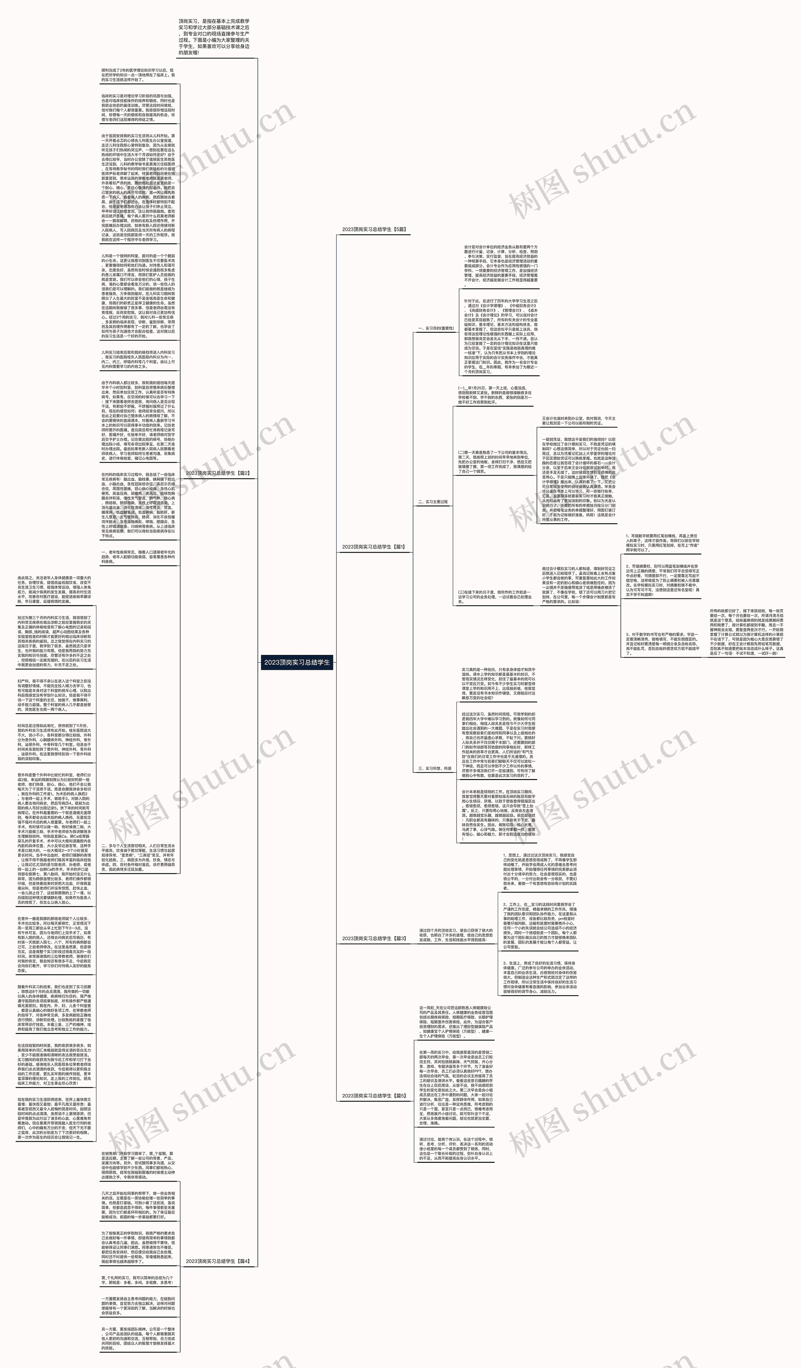 2023顶岗实习总结学生思维导图