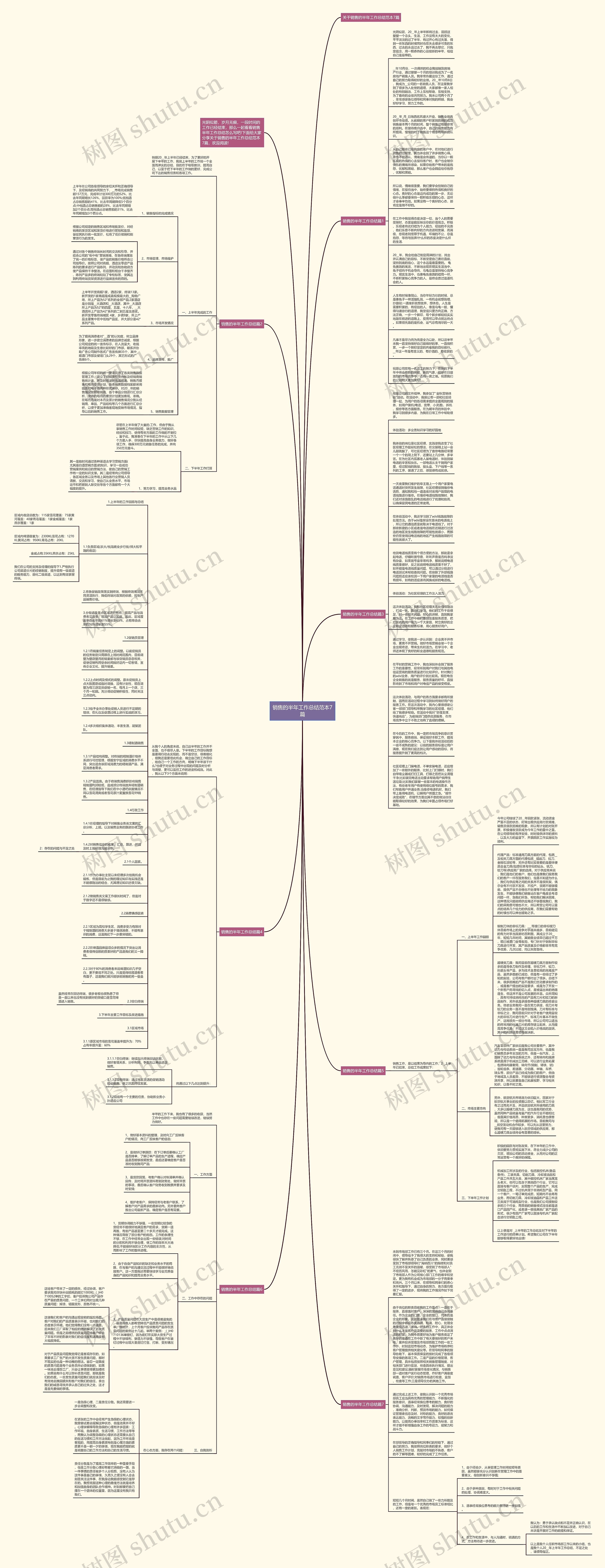 销售的半年工作总结范本7篇思维导图