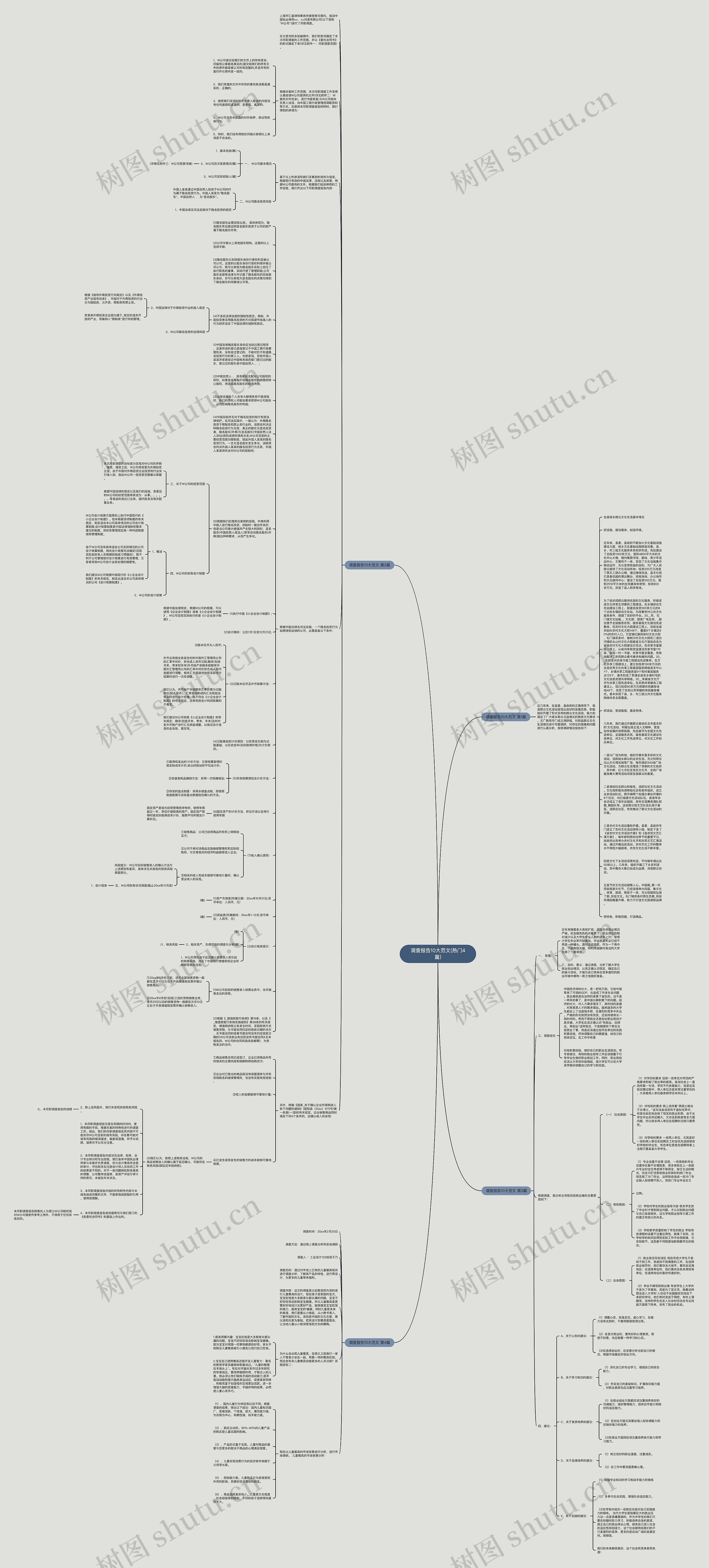 调查报告10大范文(热门4篇)思维导图