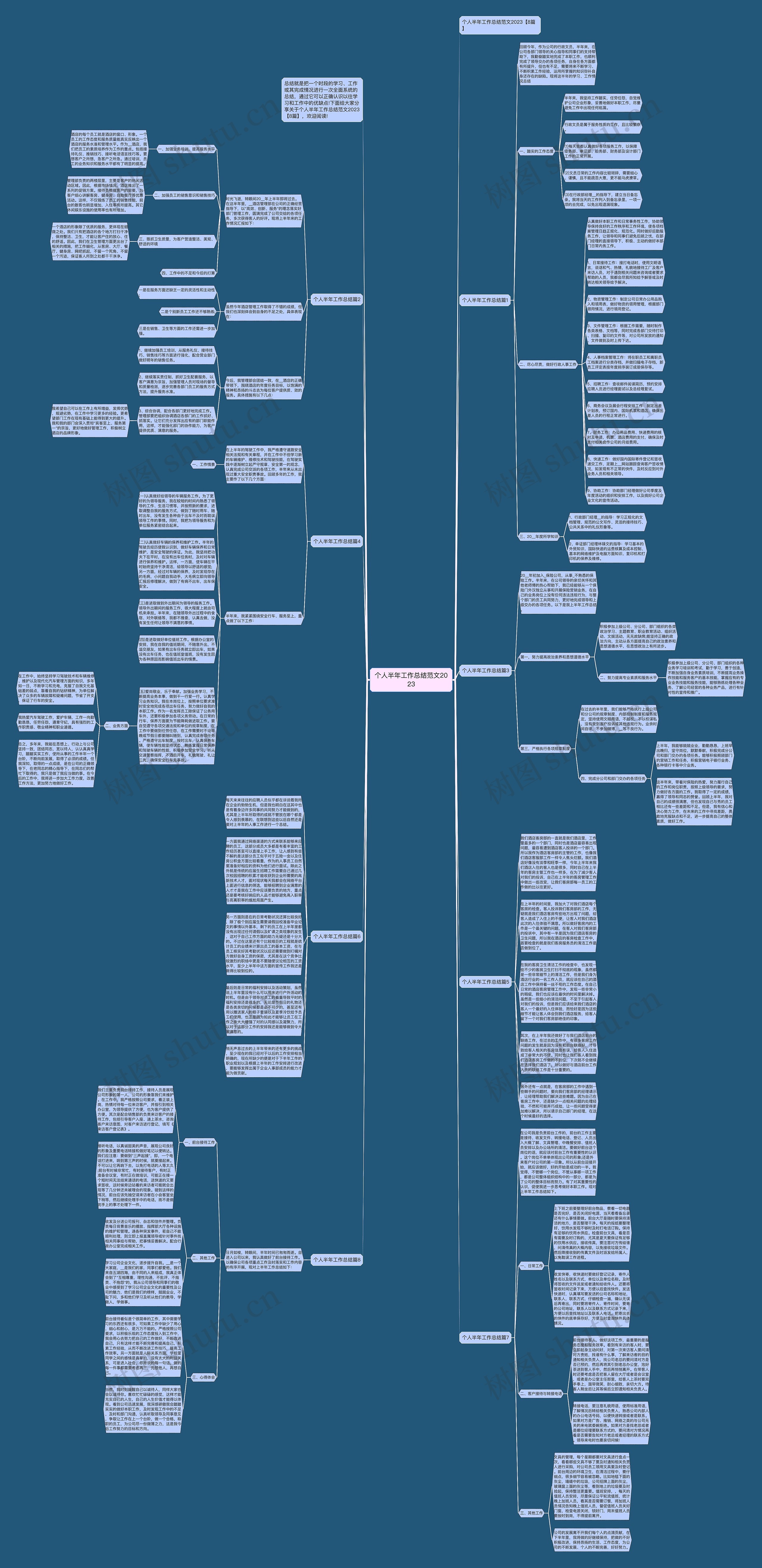 个人半年工作总结范文2023思维导图