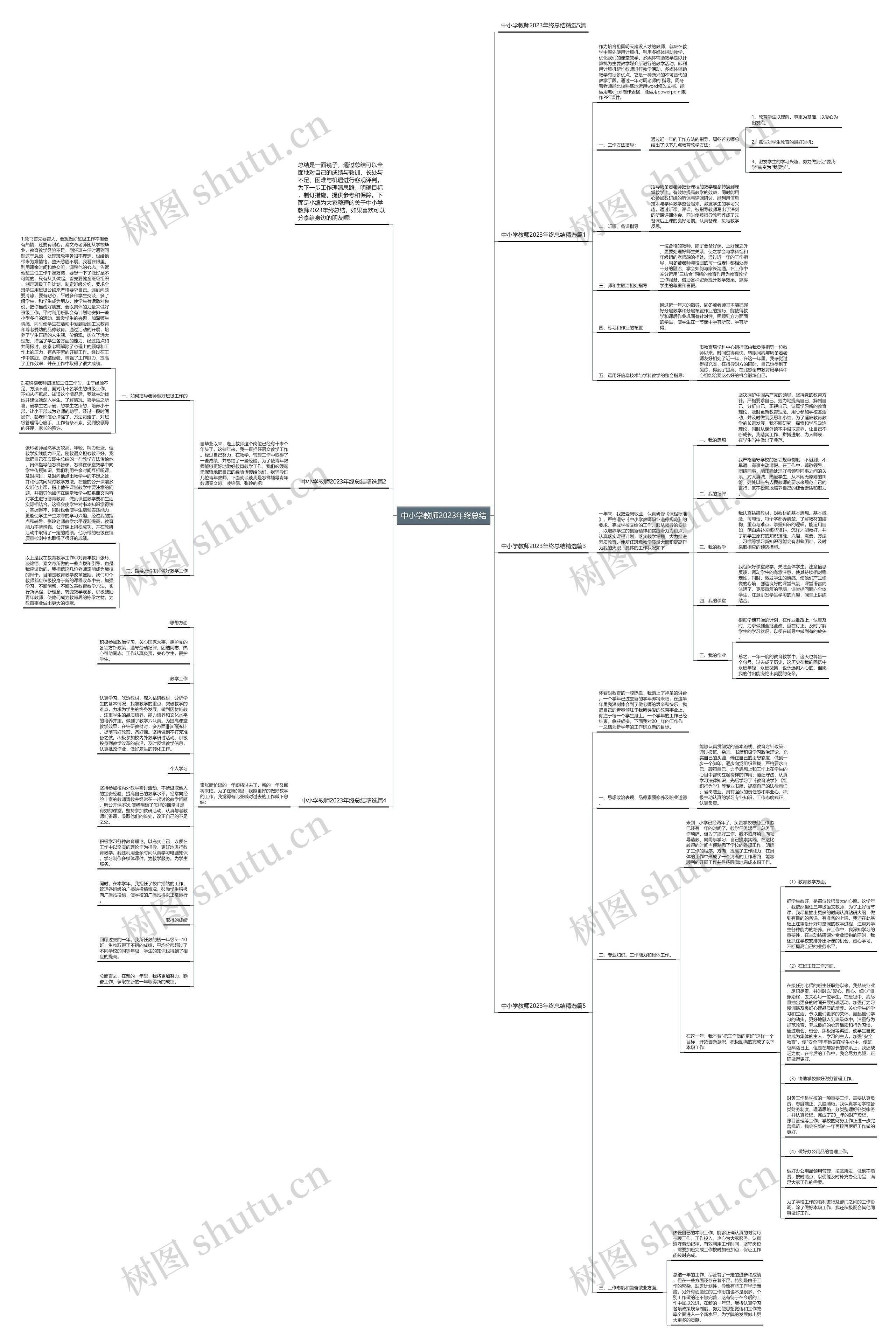 中小学教师2023年终总结思维导图
