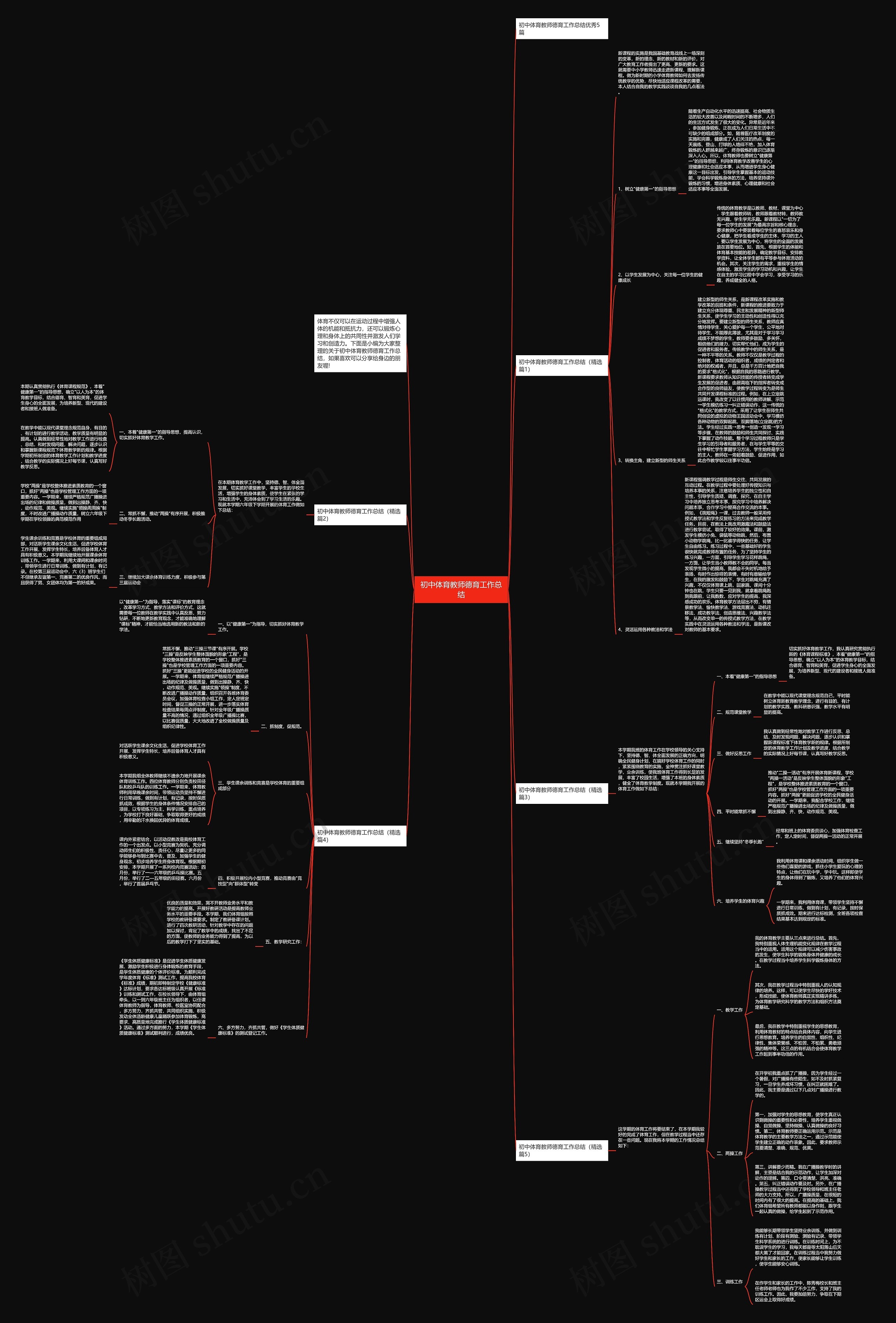 初中体育教师德育工作总结思维导图