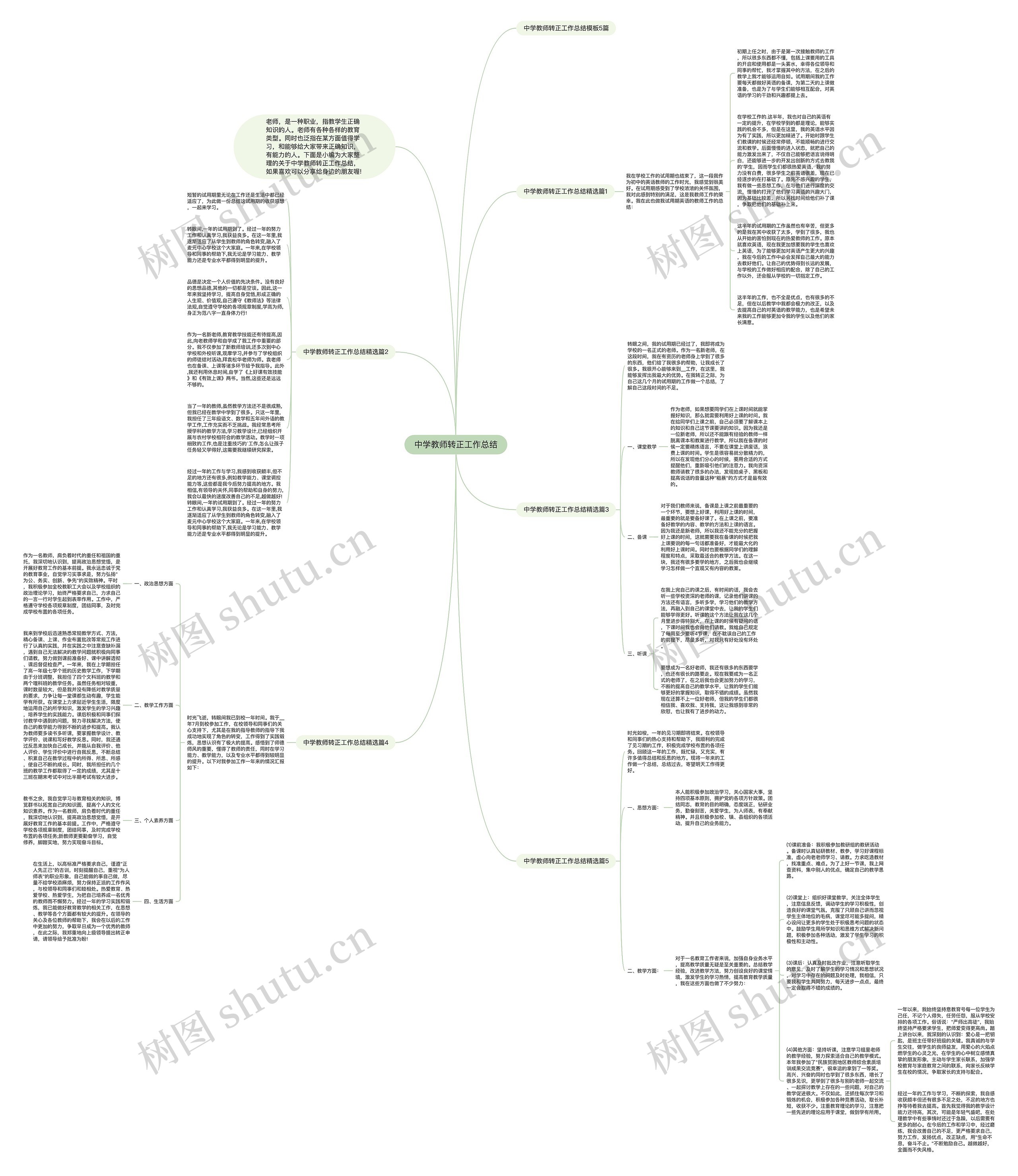 中学教师转正工作总结思维导图