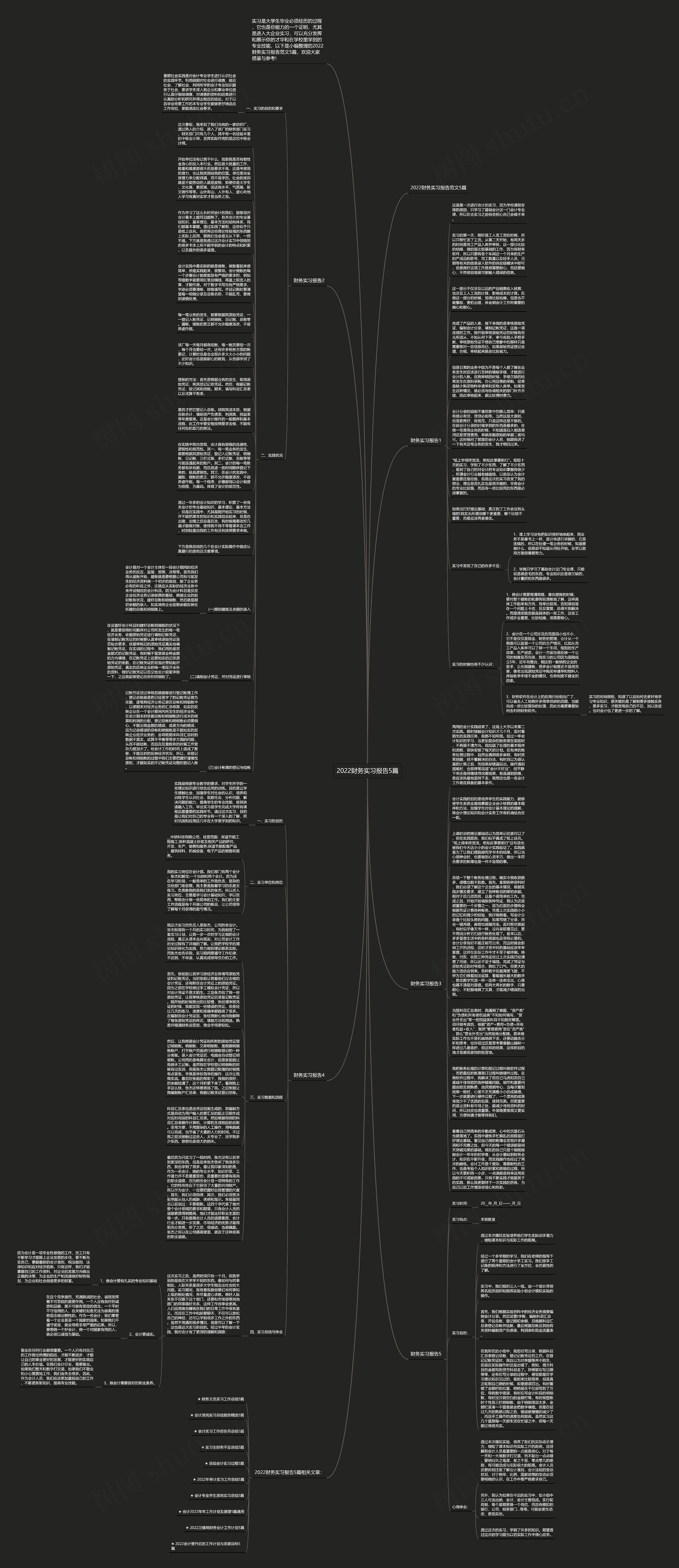 2022财务实习报告5篇思维导图