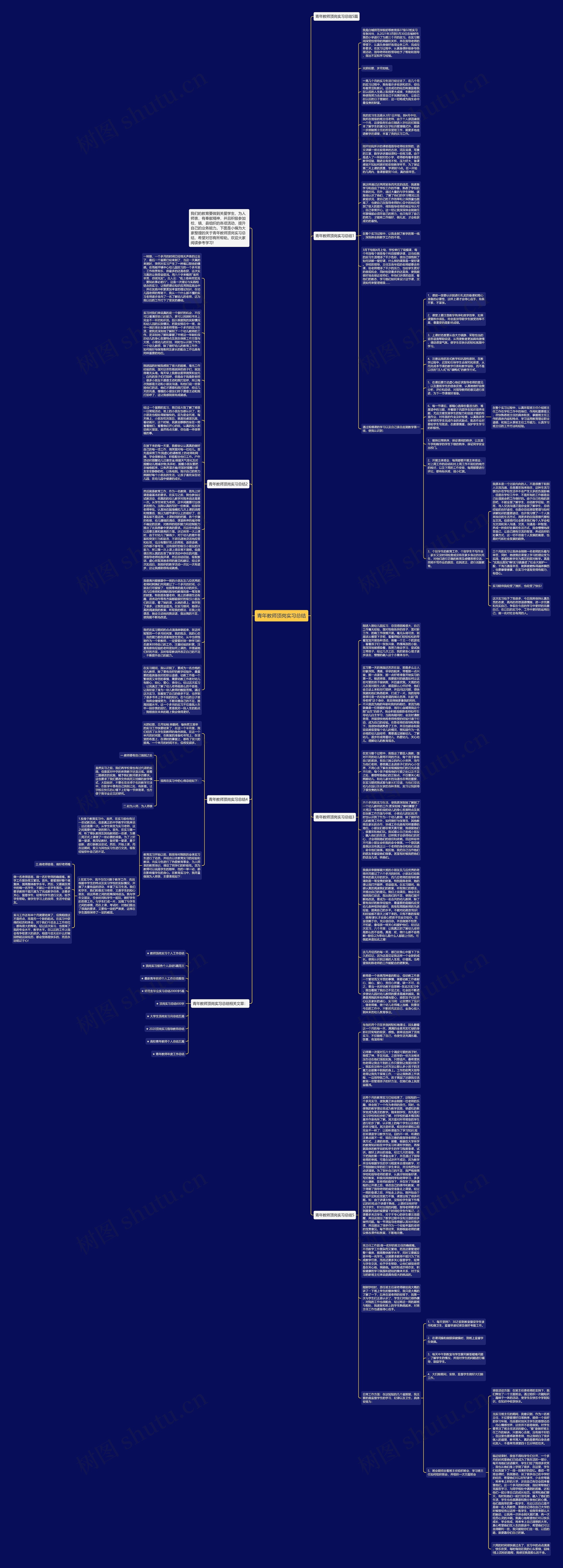 青年教师顶岗实习总结思维导图