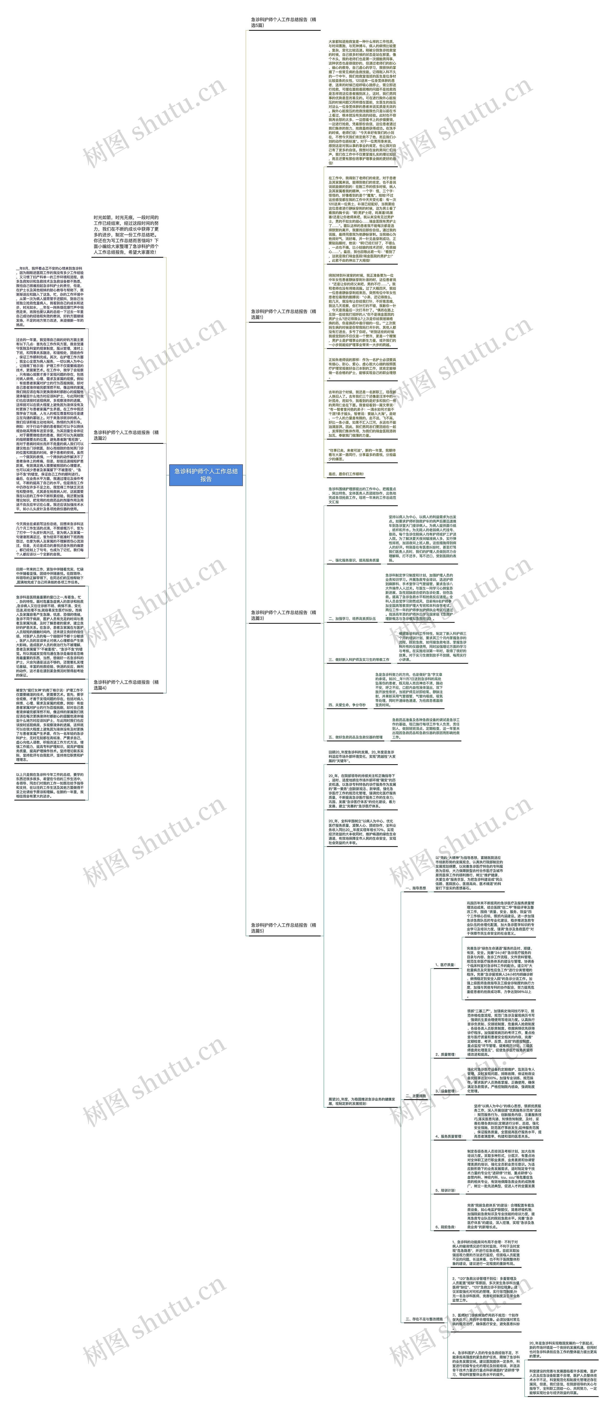 急诊科护师个人工作总结报告思维导图