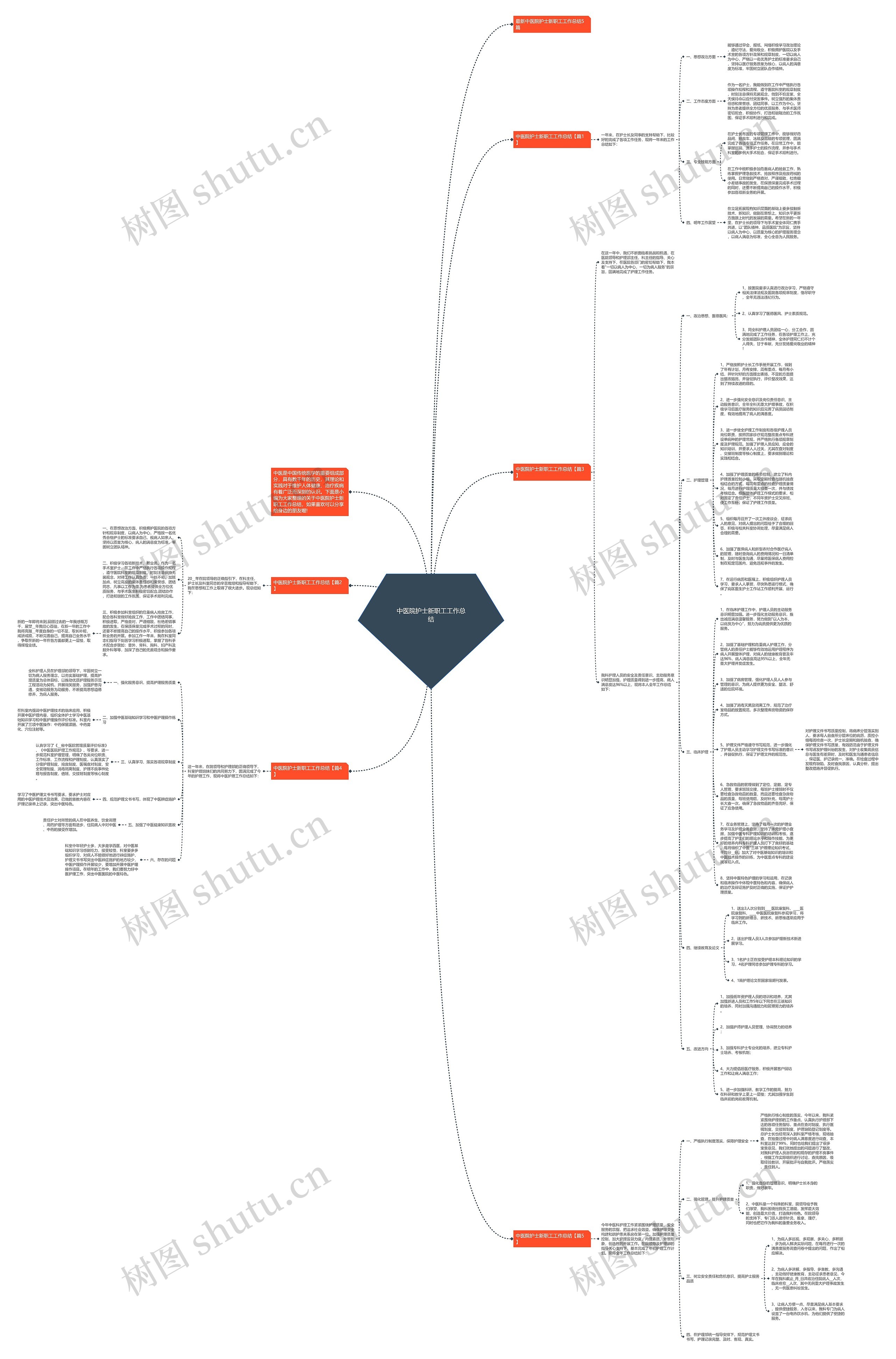 中医院护士新职工工作总结思维导图