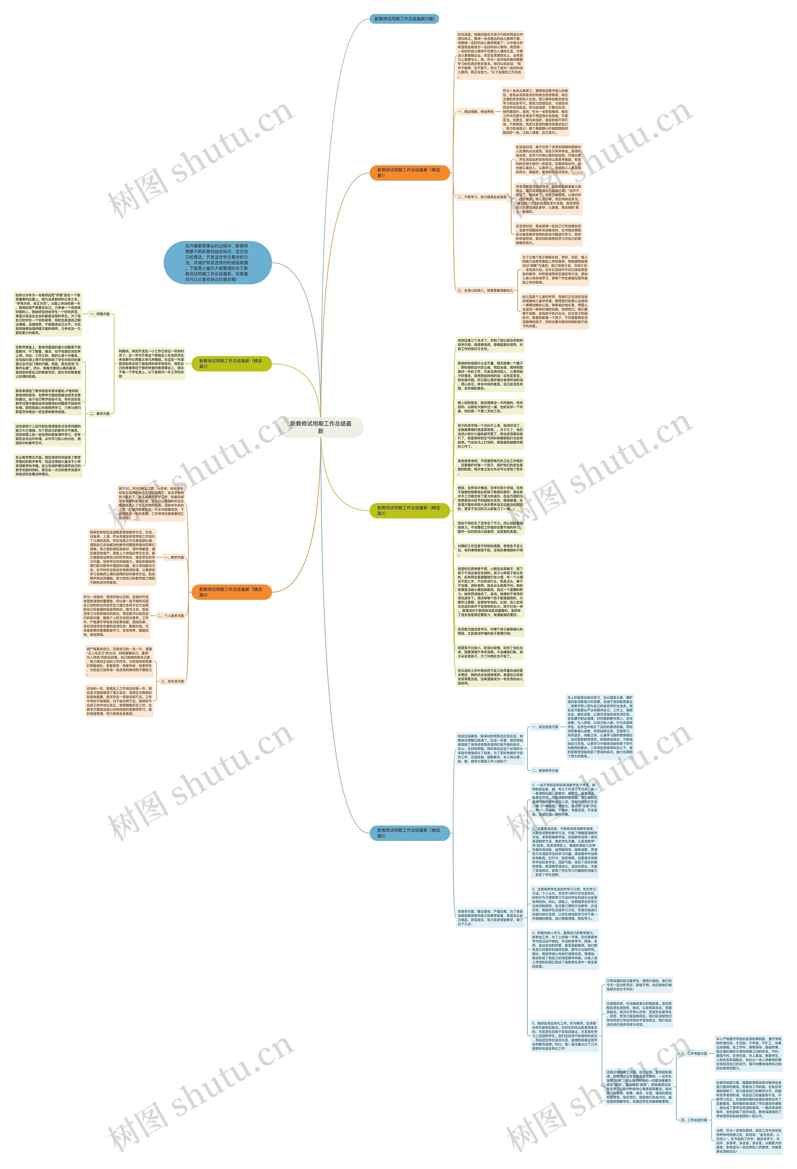 新教师试用期工作总结最新