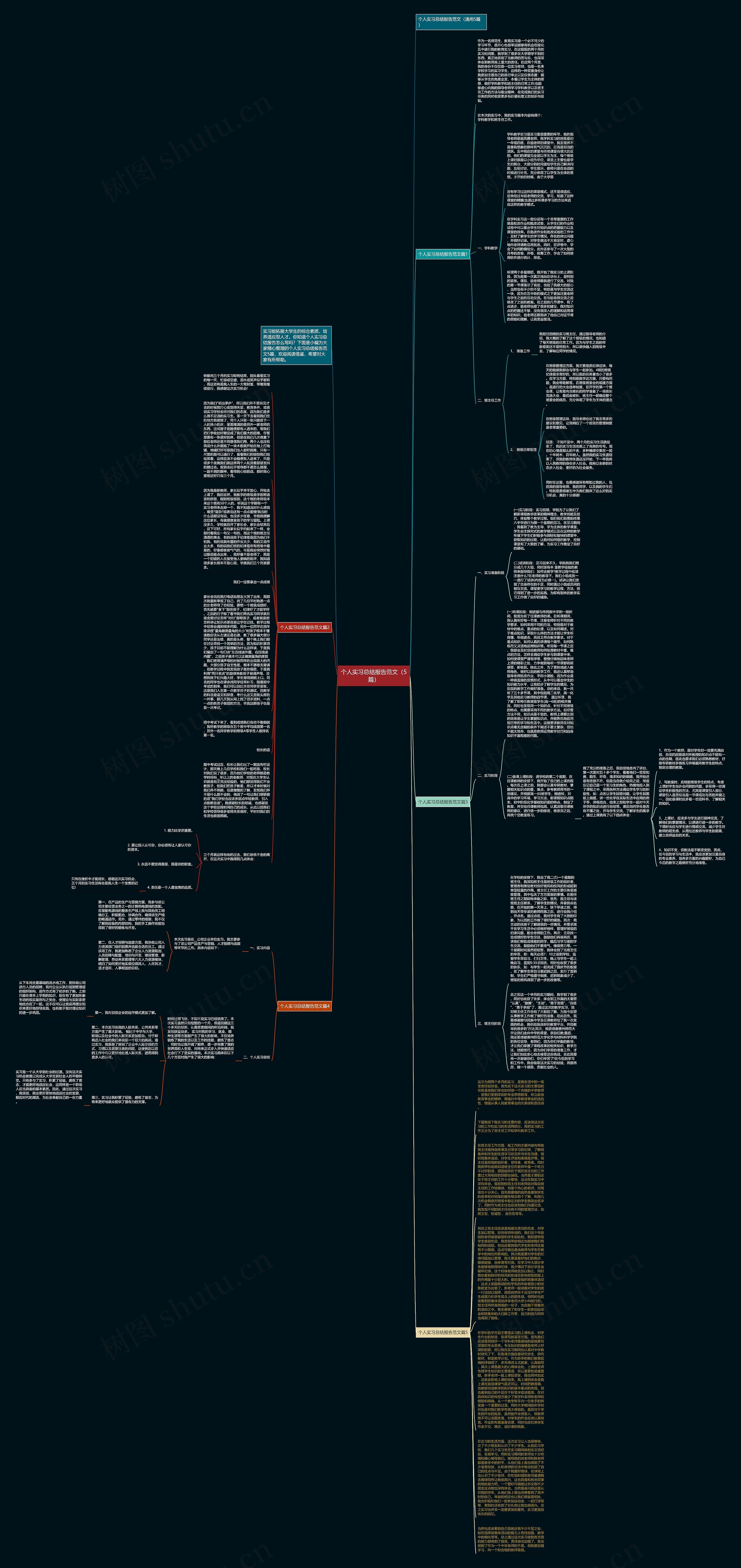 个人实习总结报告范文（5篇）思维导图