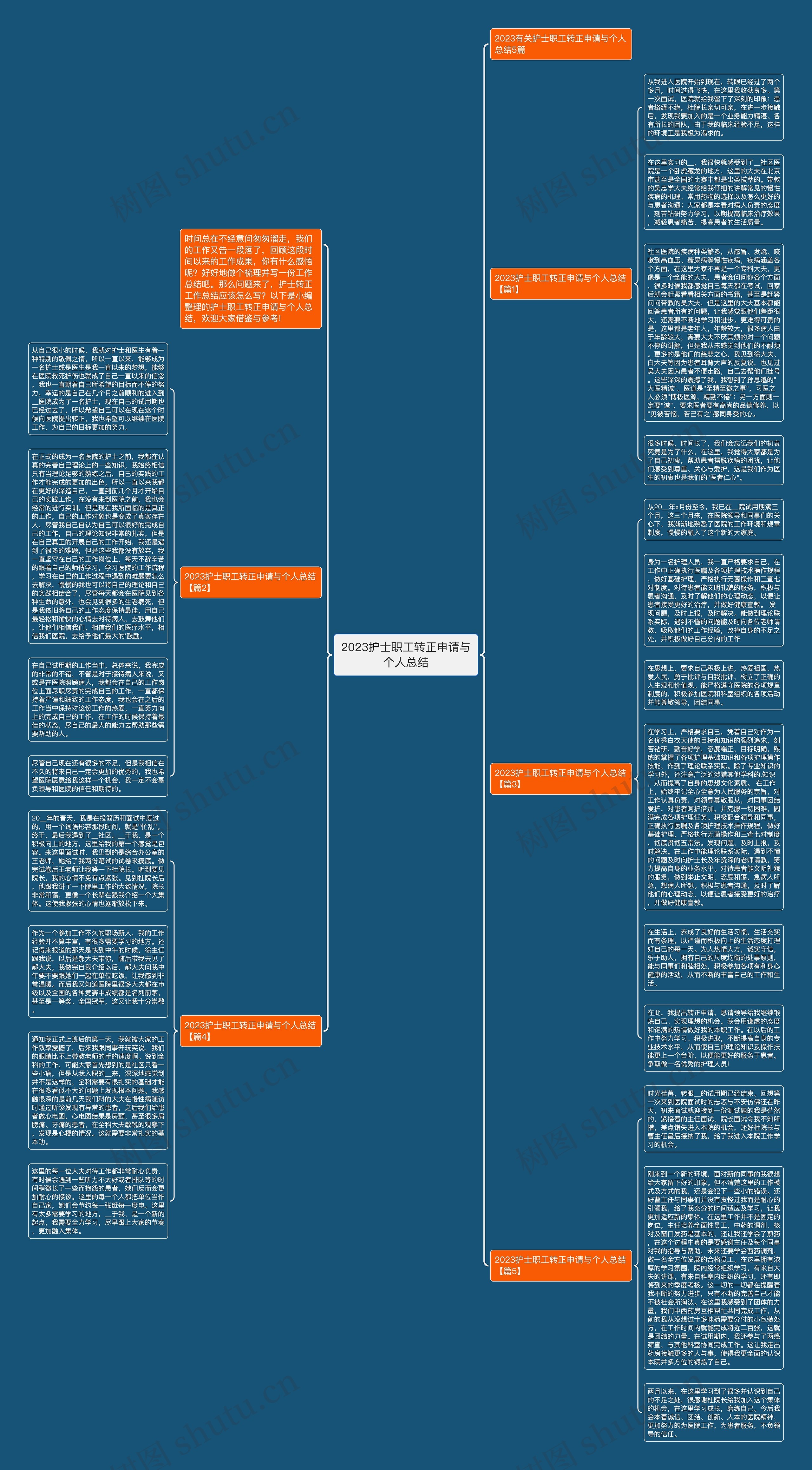 2023护士职工转正申请与个人总结思维导图