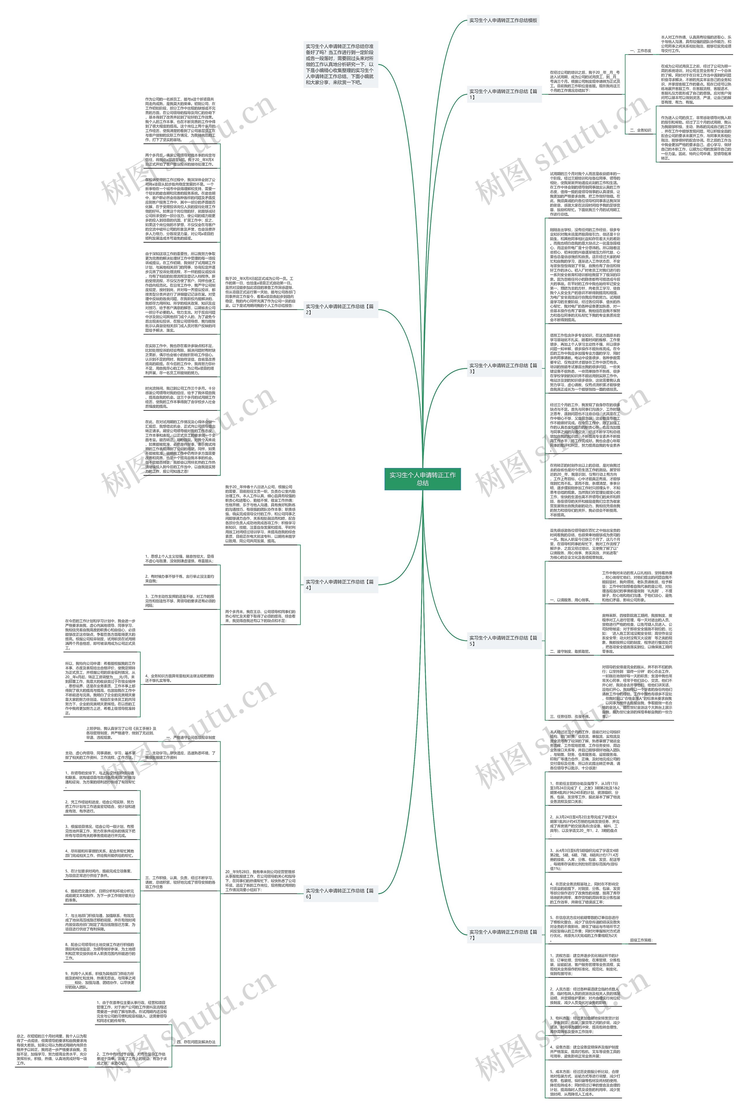 实习生个人申请转正工作总结