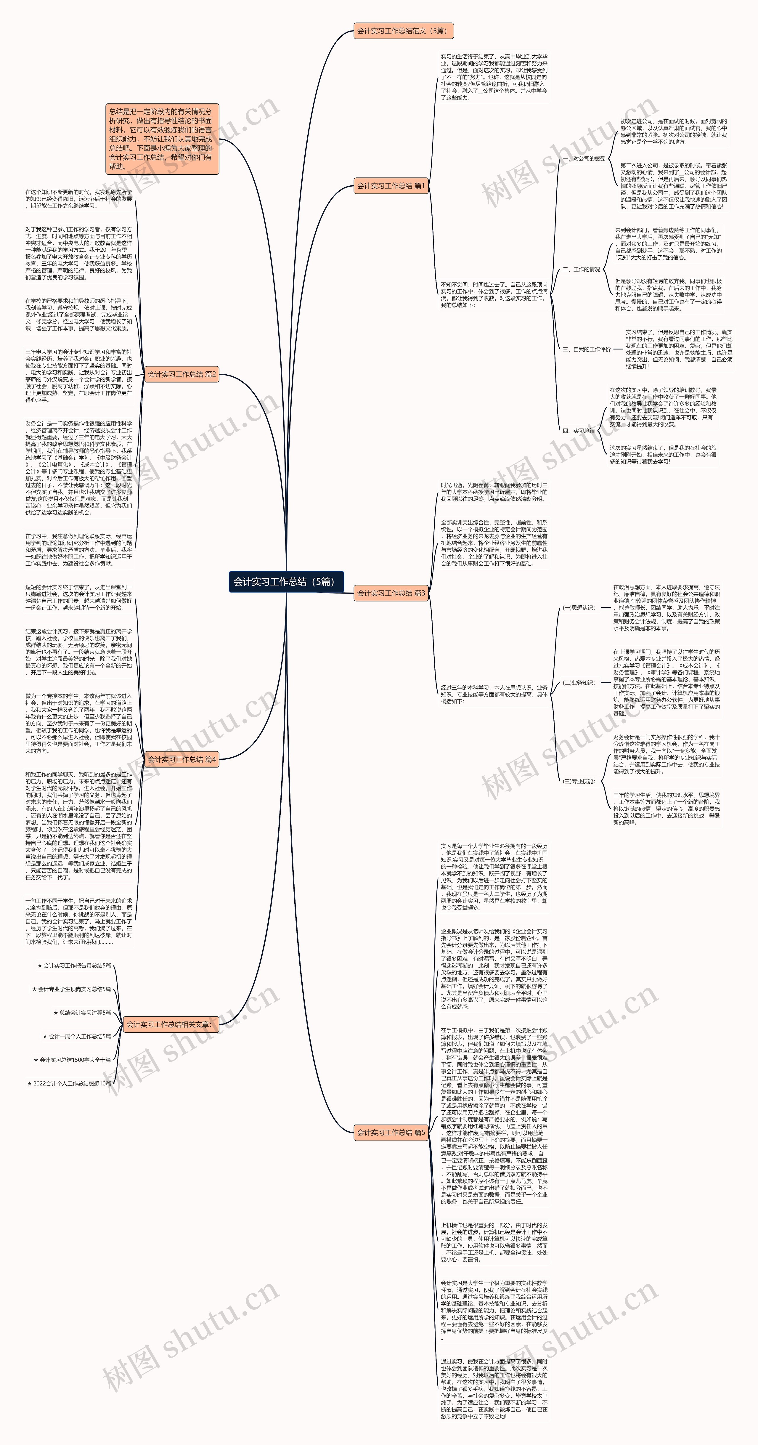 会计实习工作总结（5篇）思维导图