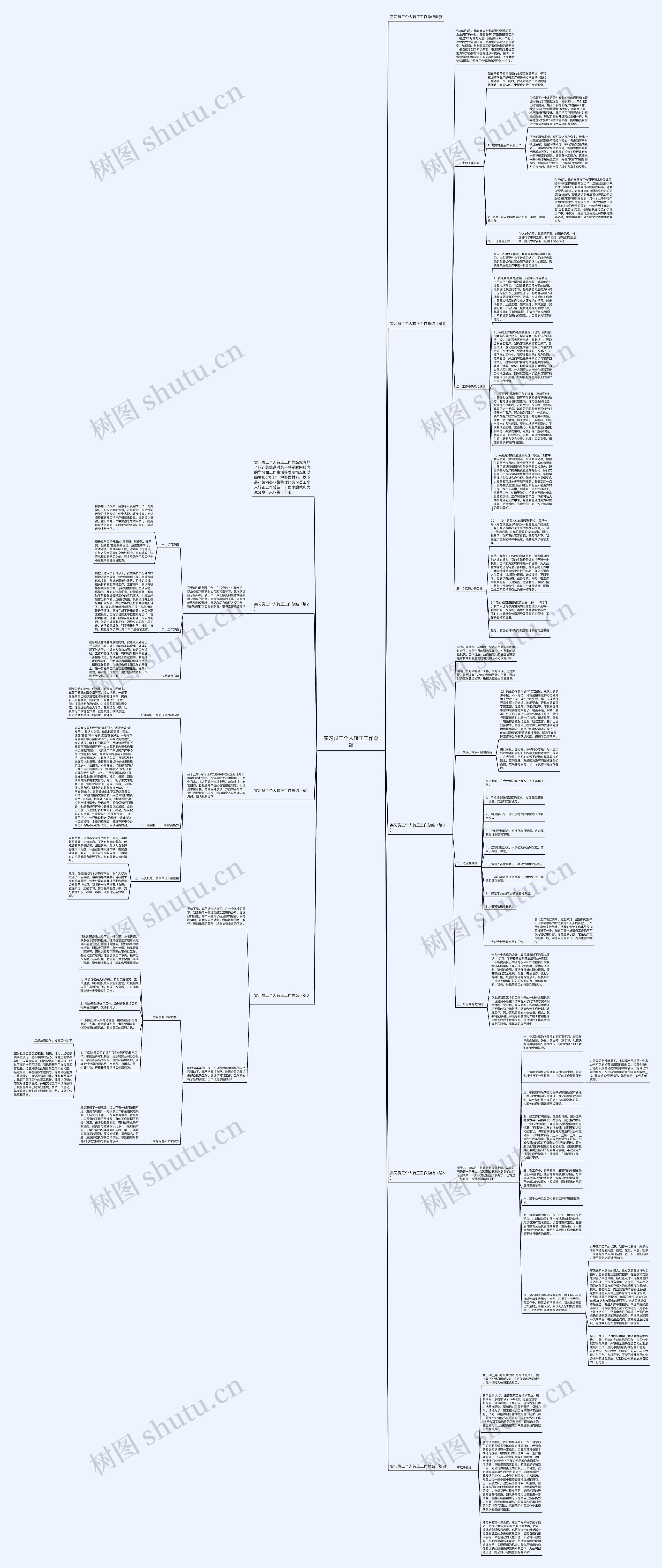 实习员工个人转正工作总结思维导图