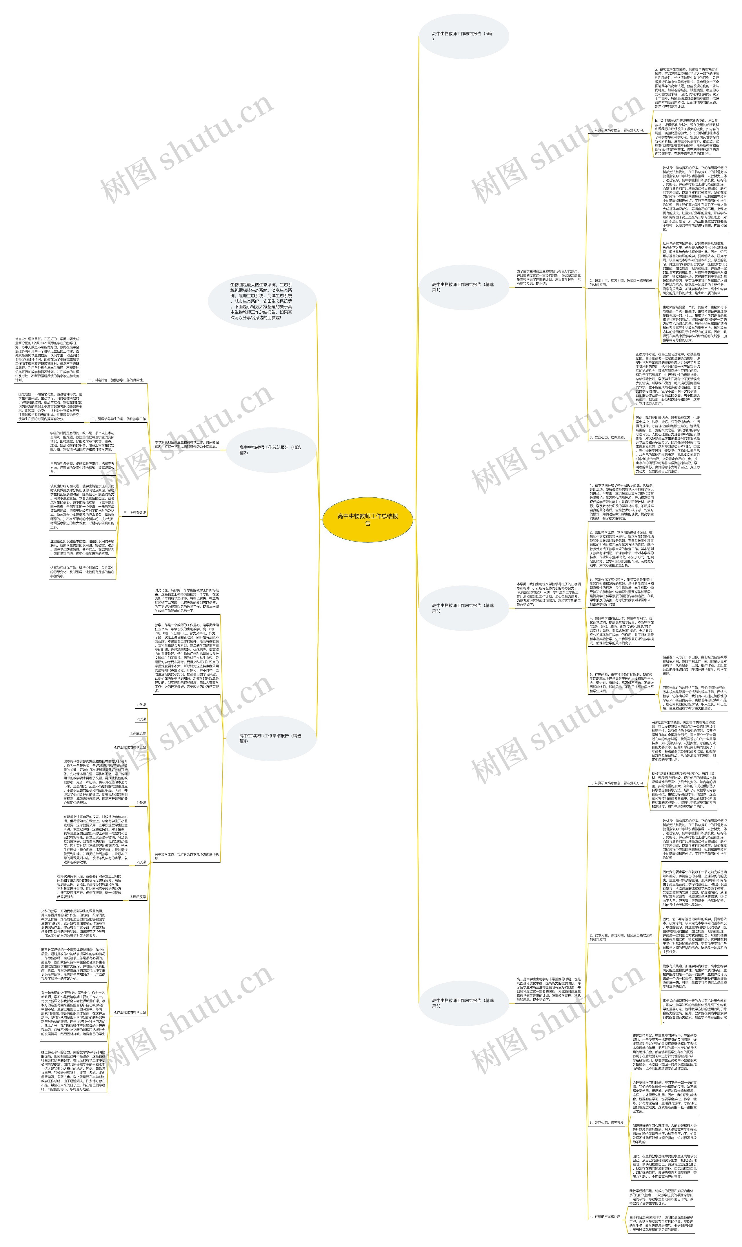 高中生物教师工作总结报告思维导图