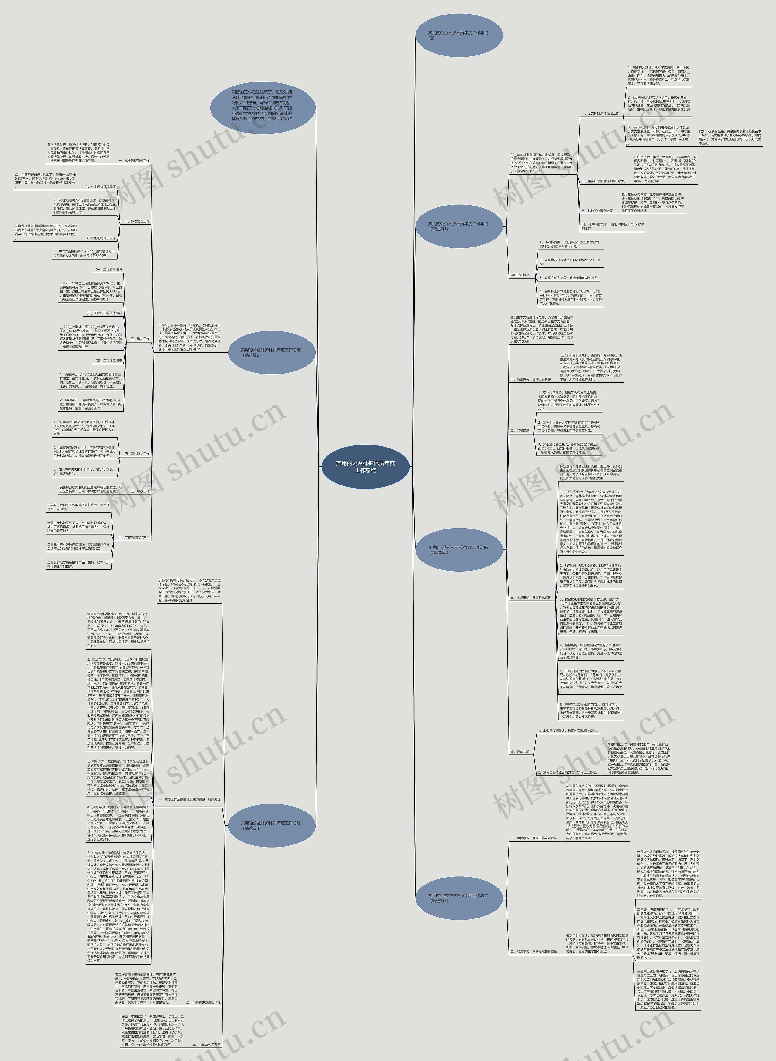 实用的公益林护林员年度工作总结思维导图
