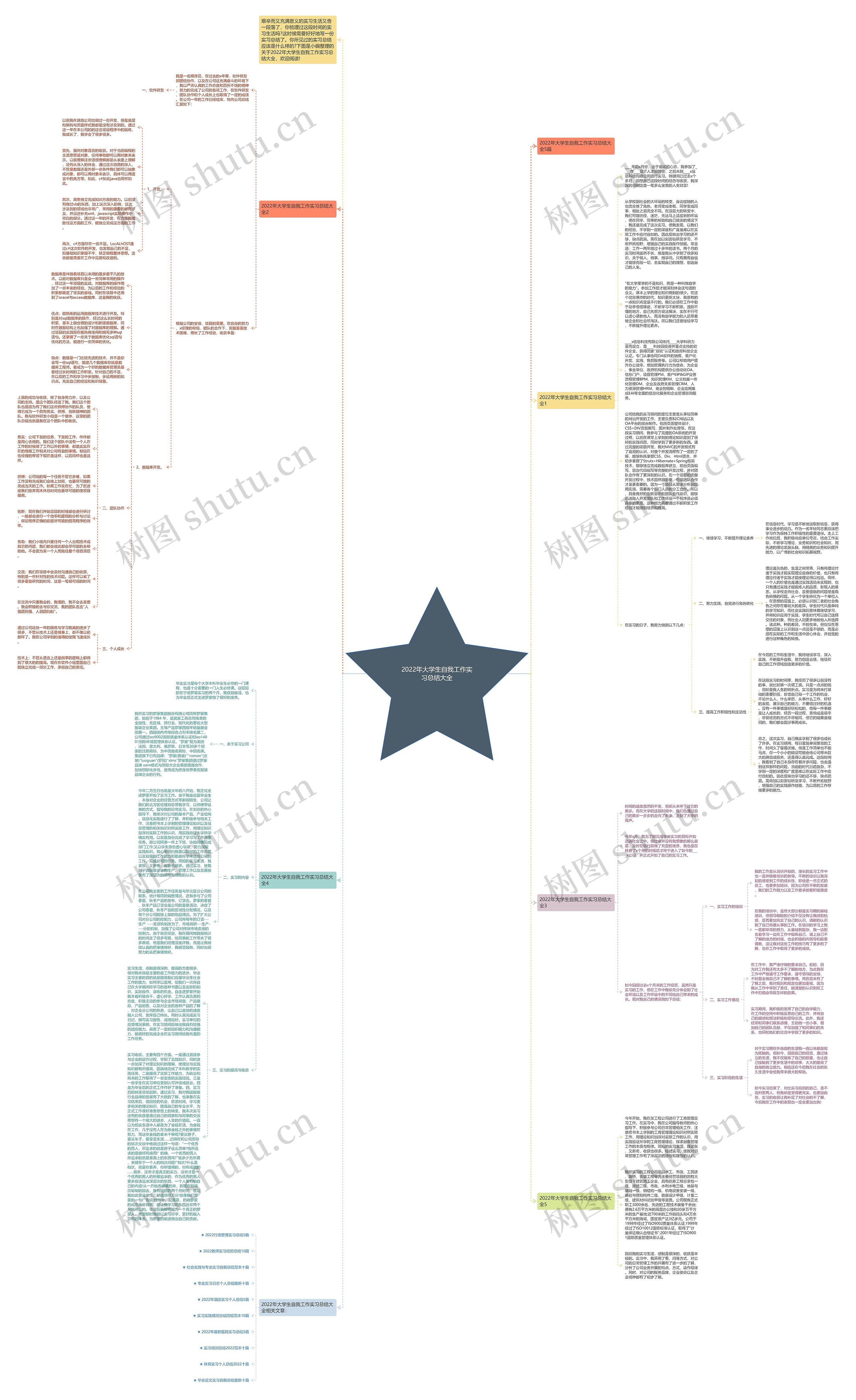 2022年大学生自我工作实习总结大全思维导图