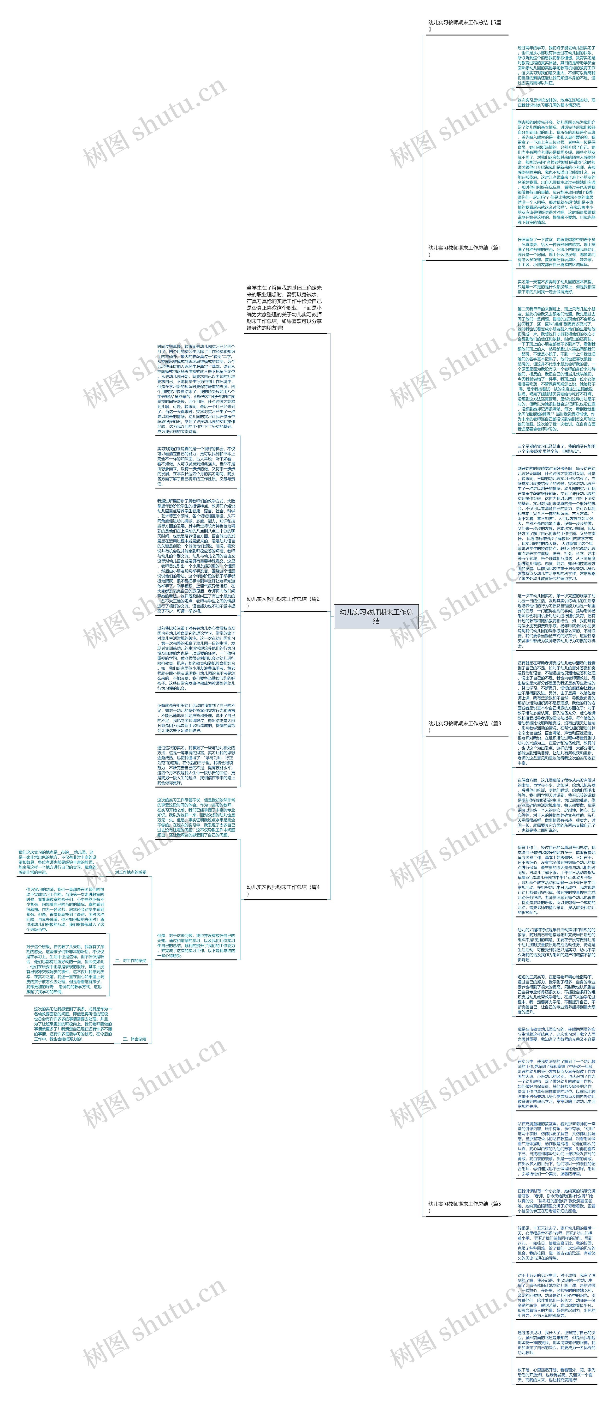 幼儿实习教师期末工作总结思维导图