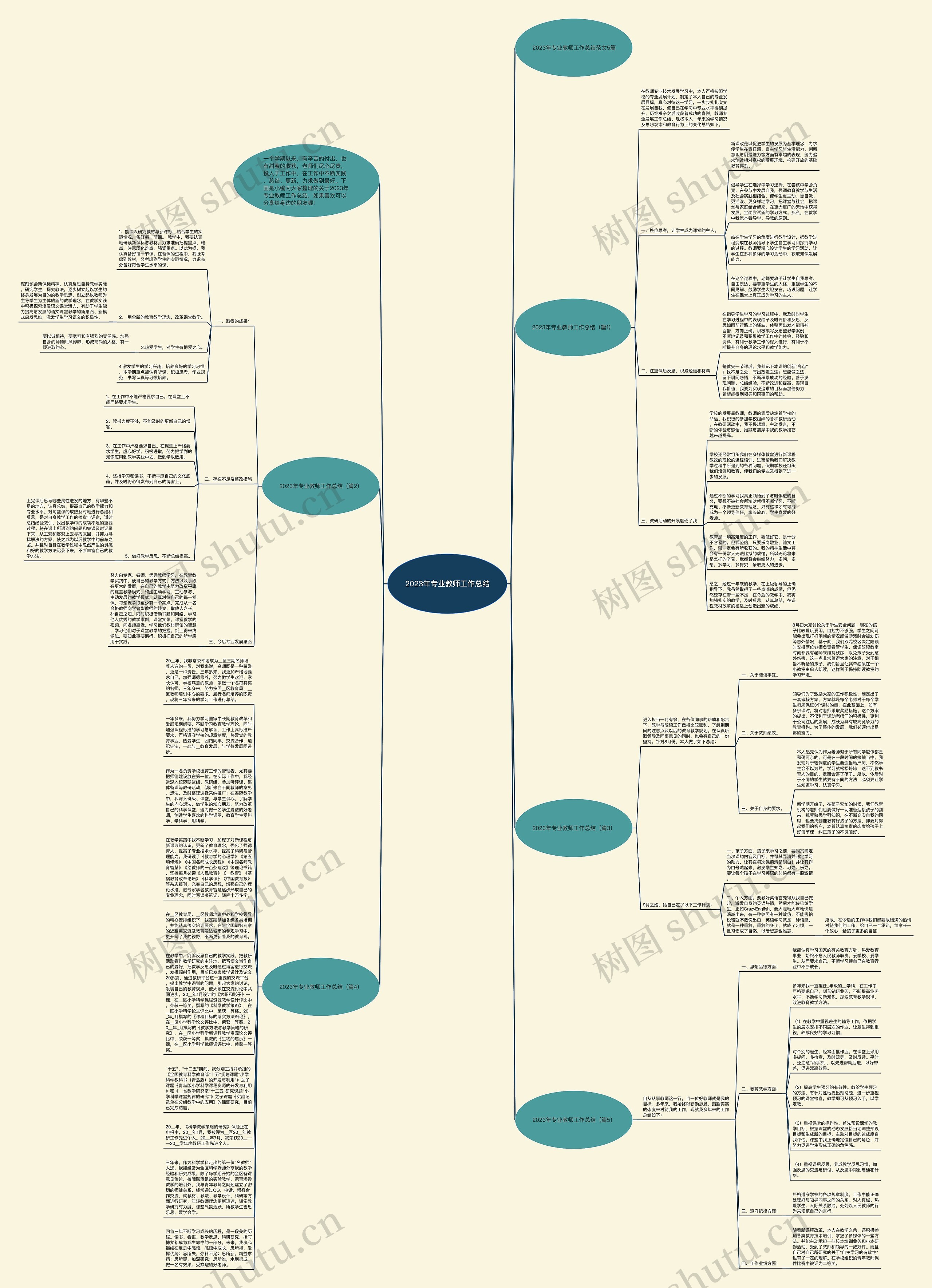 2023年专业教师工作总结思维导图