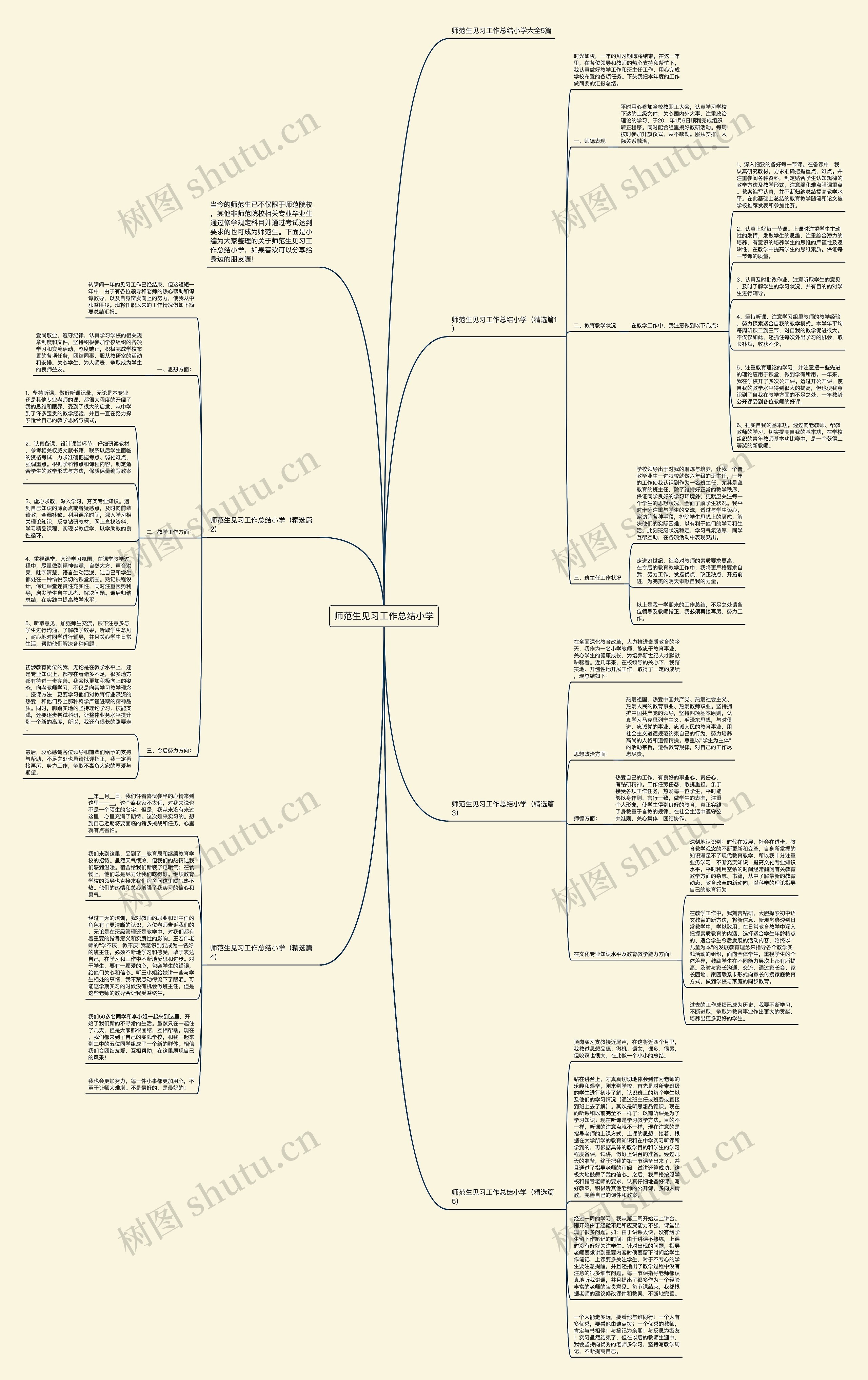 师范生见习工作总结小学思维导图高清图 师范生见习工作总结小学思维导图