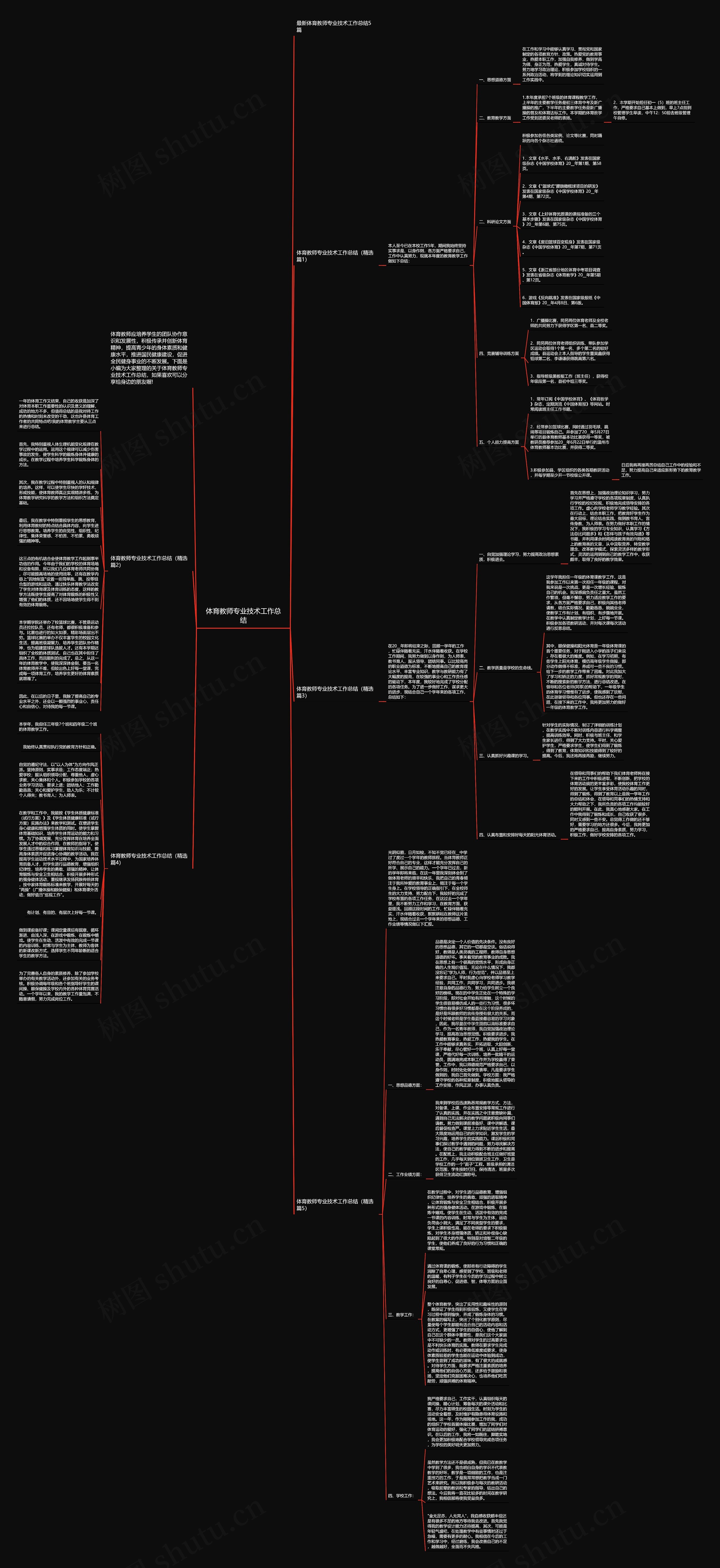 体育教师专业技术工作总结