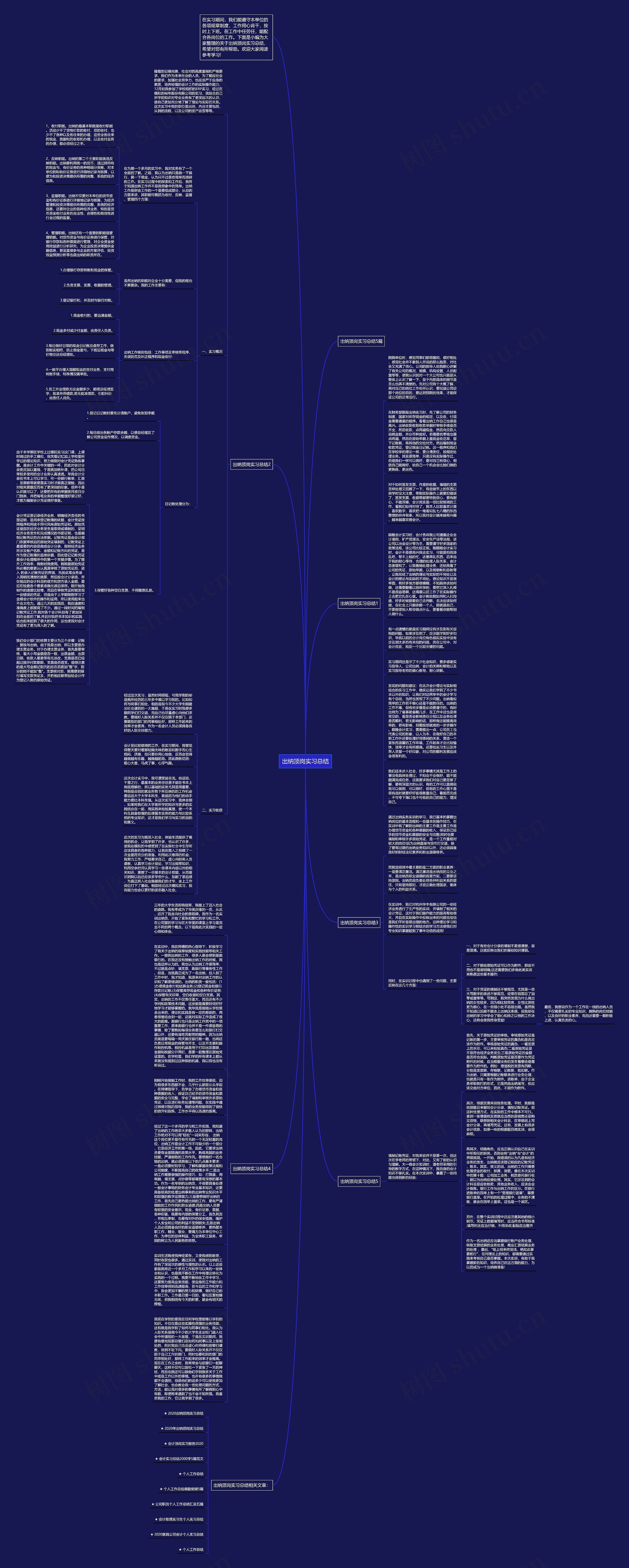 出纳顶岗实习总结思维导图