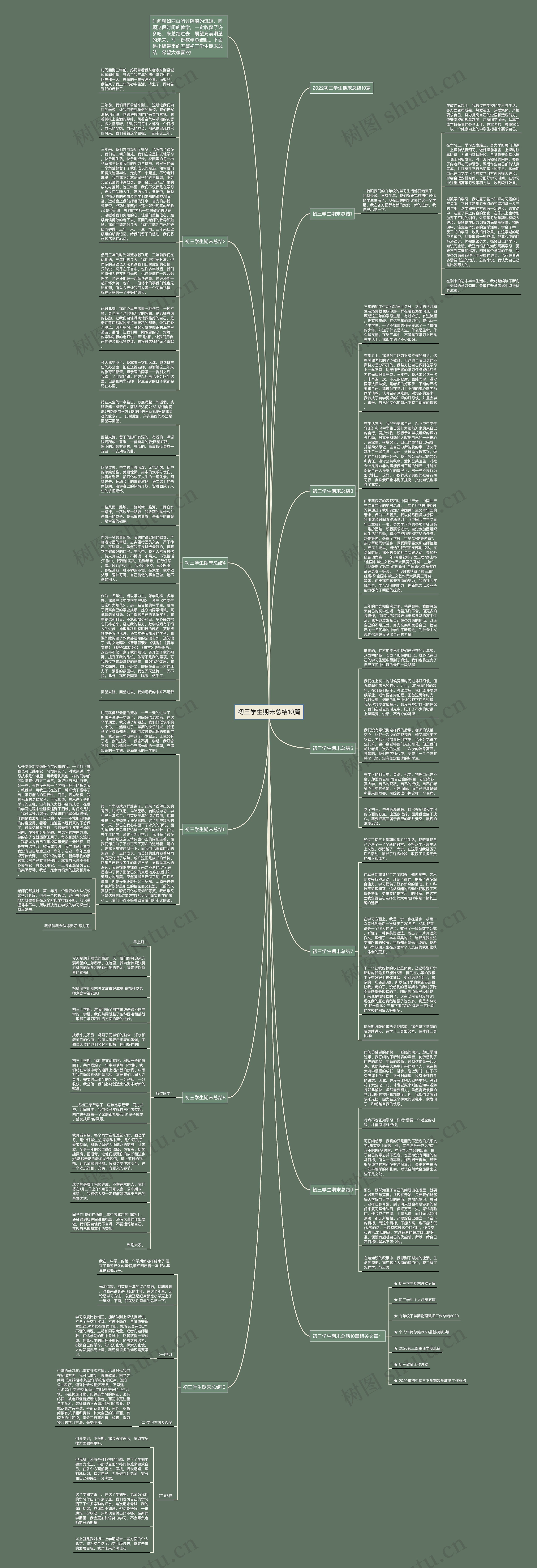 初三学生期末总结10篇思维导图