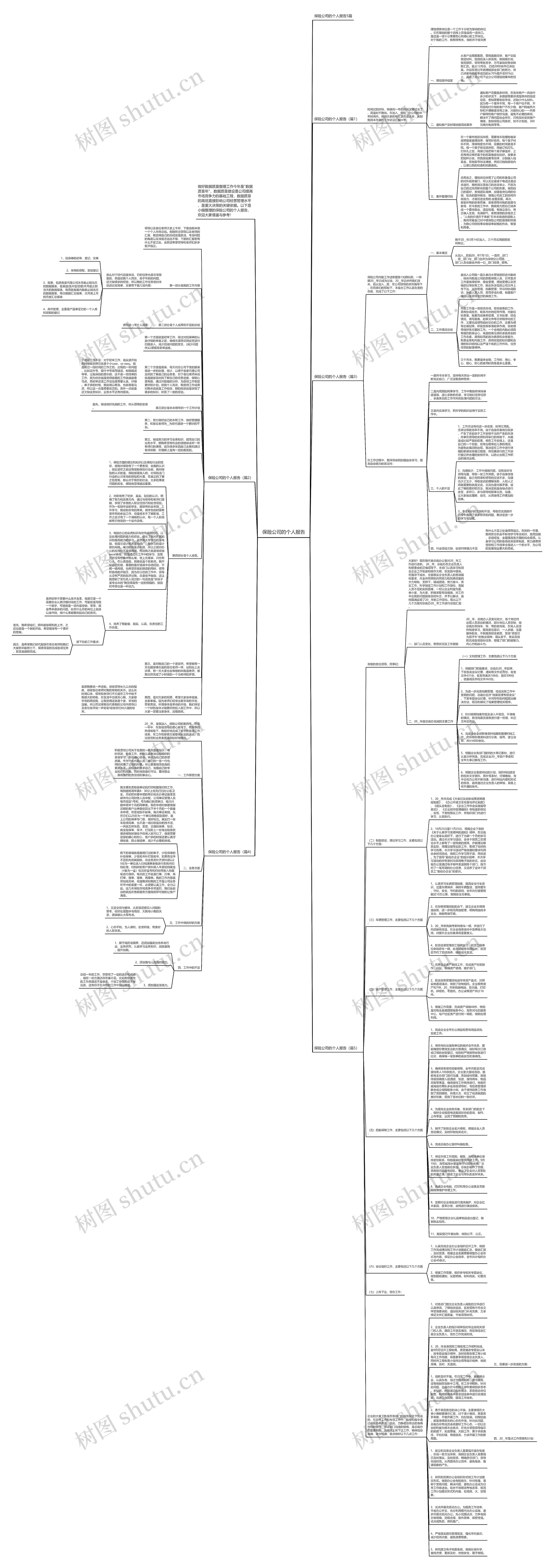 保险公司的个人报告思维导图