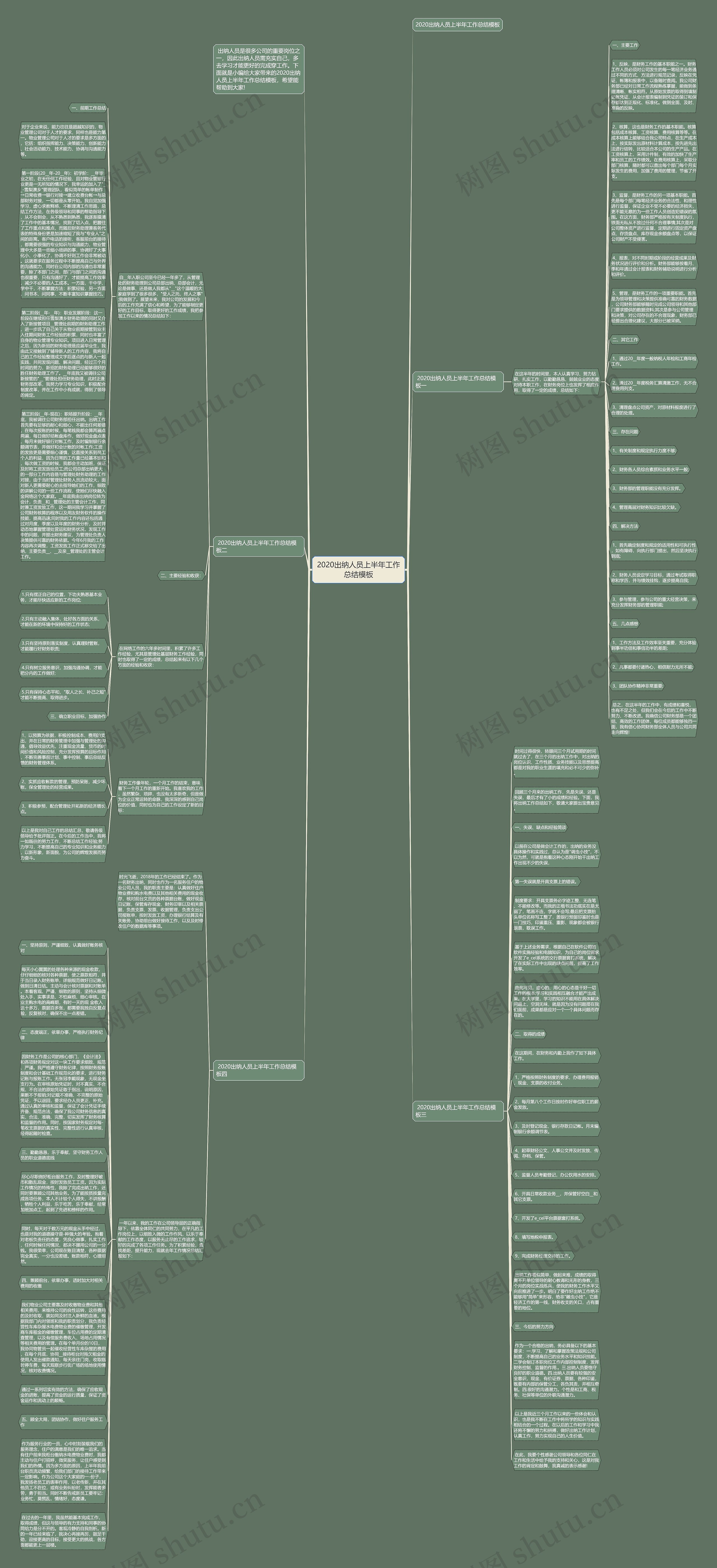 2020出纳人员上半年工作总结思维导图