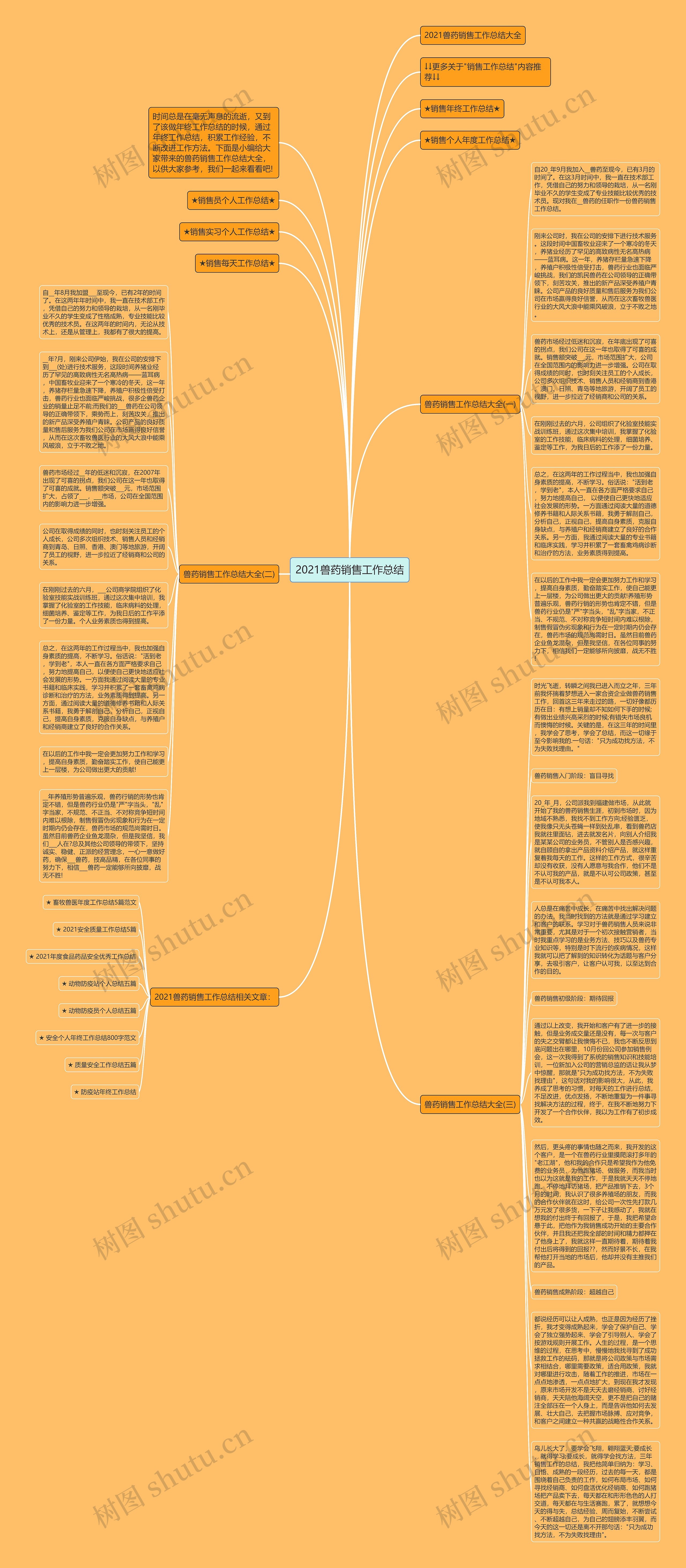 2021兽药销售工作总结思维导图
