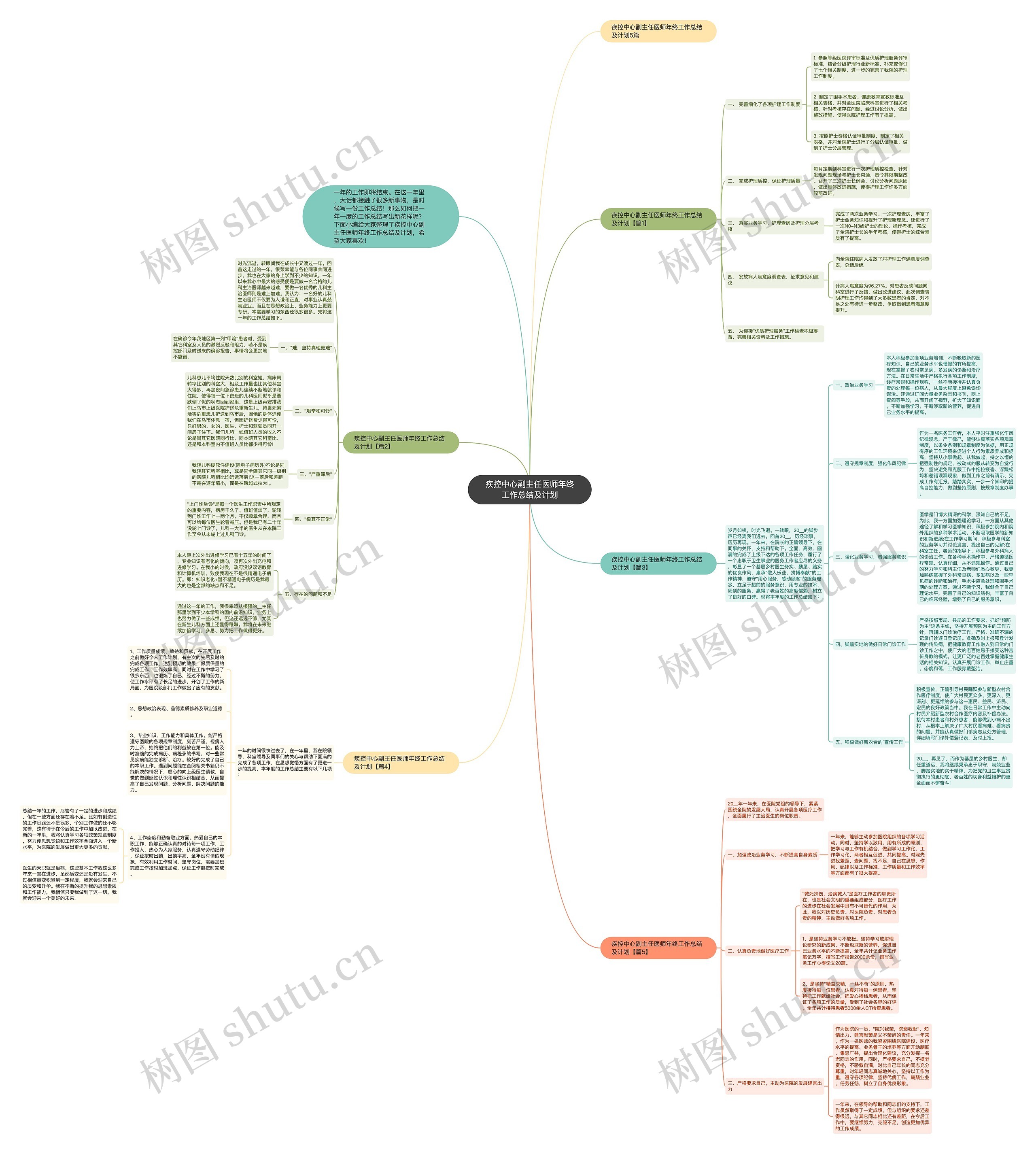 疾控中心副主任医师年终工作总结及计划思维导图