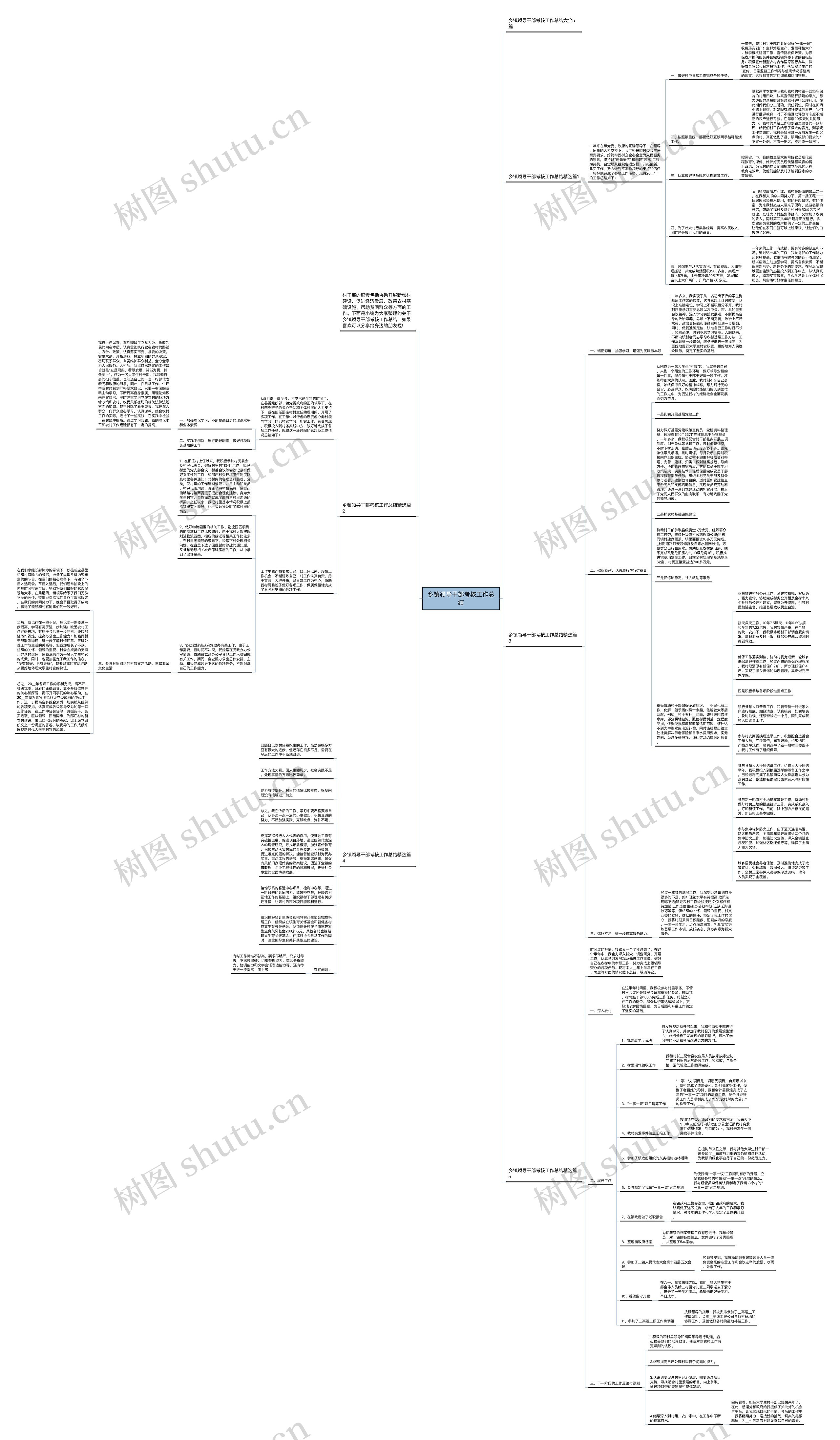 乡镇领导干部考核工作总结思维导图
