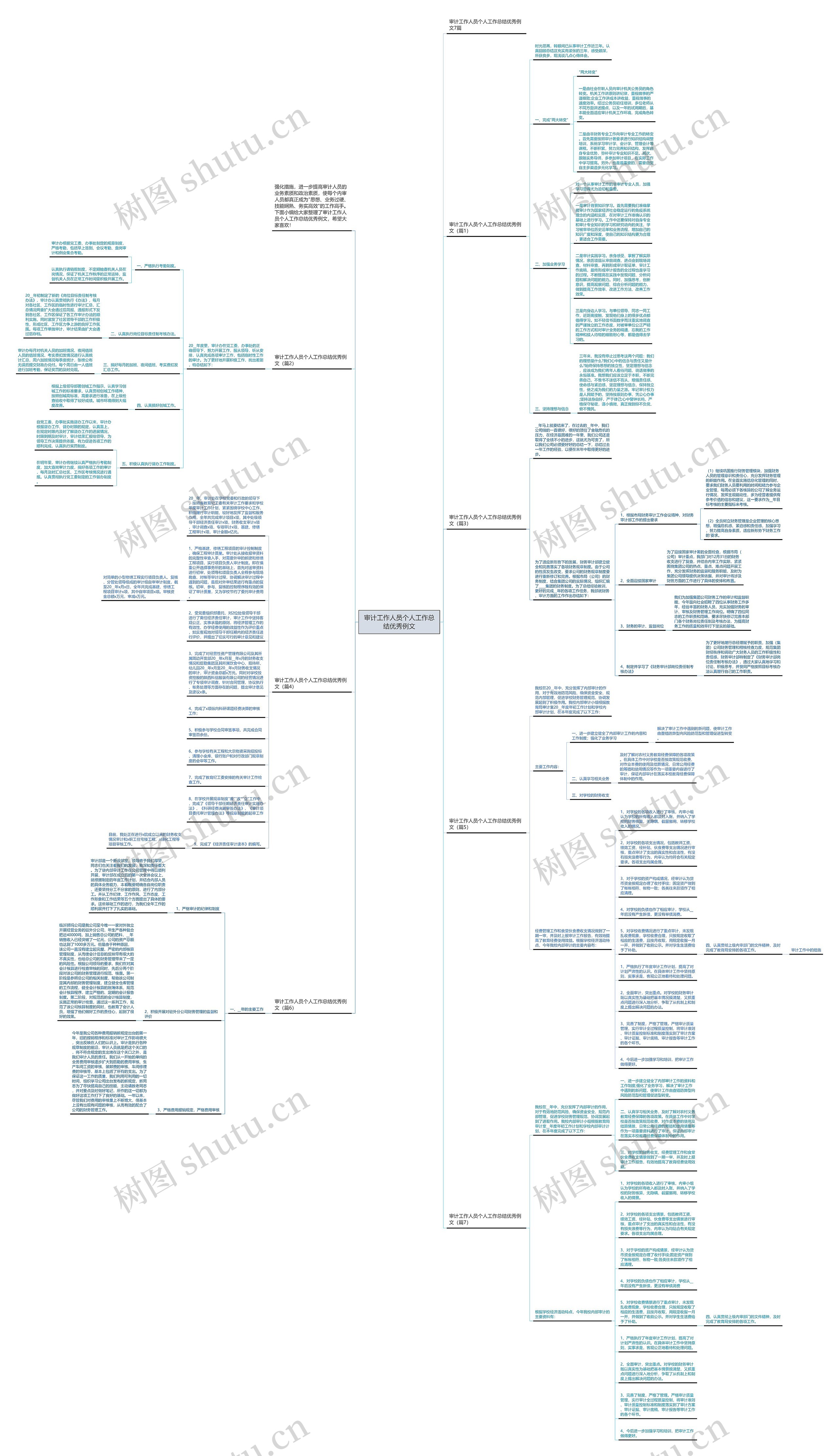 审计工作人员个人工作总结优秀例文思维导图