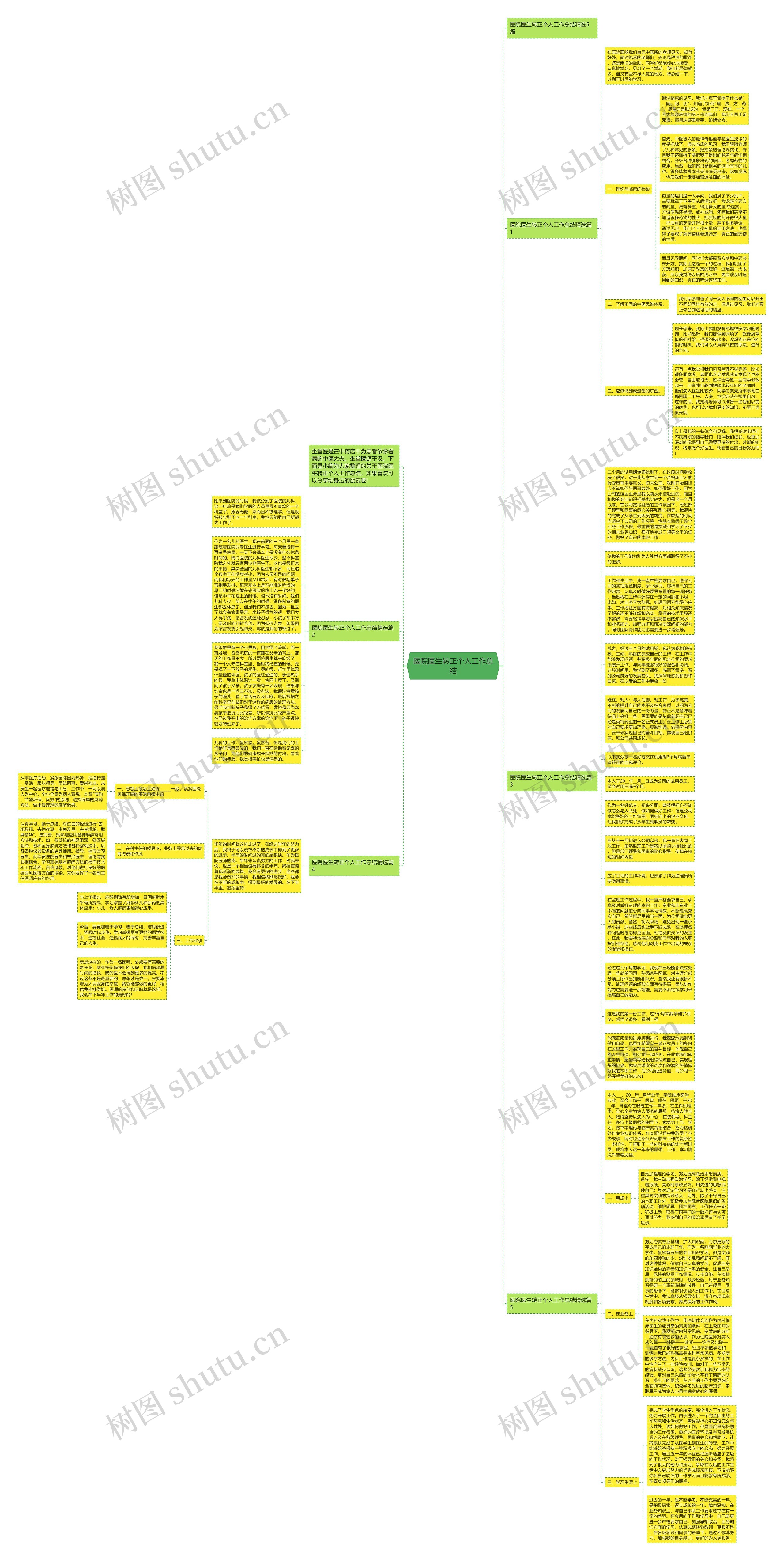医院医生转正个人工作总结思维导图
