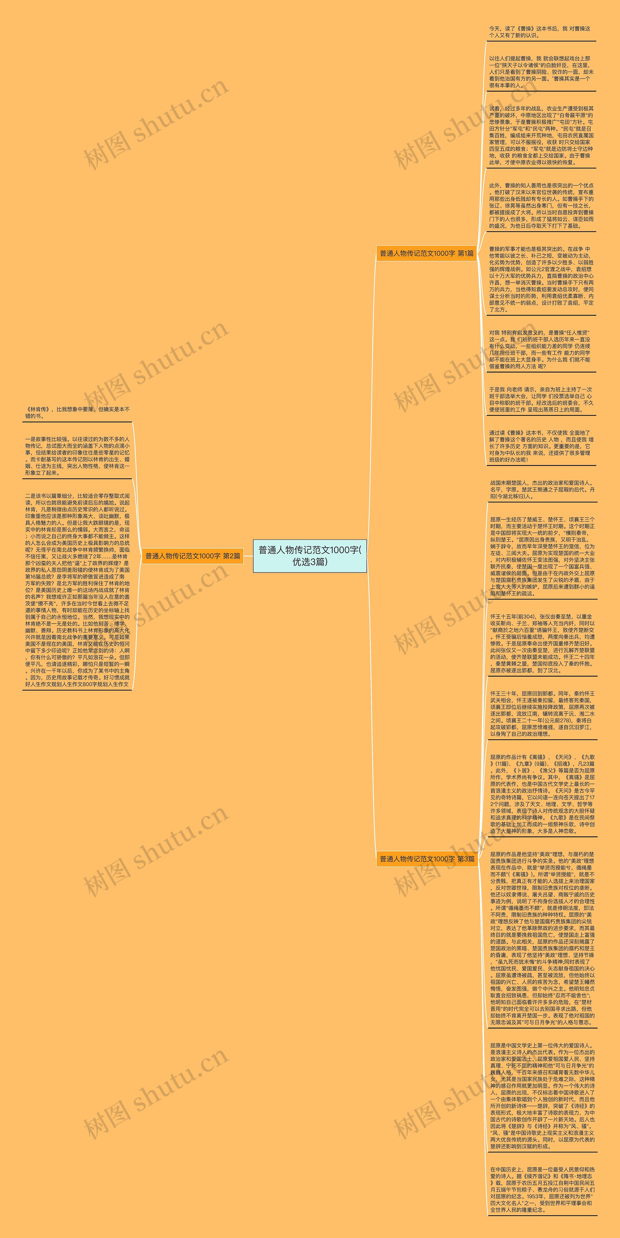 普通人物传记范文1000字(优选3篇)思维导图