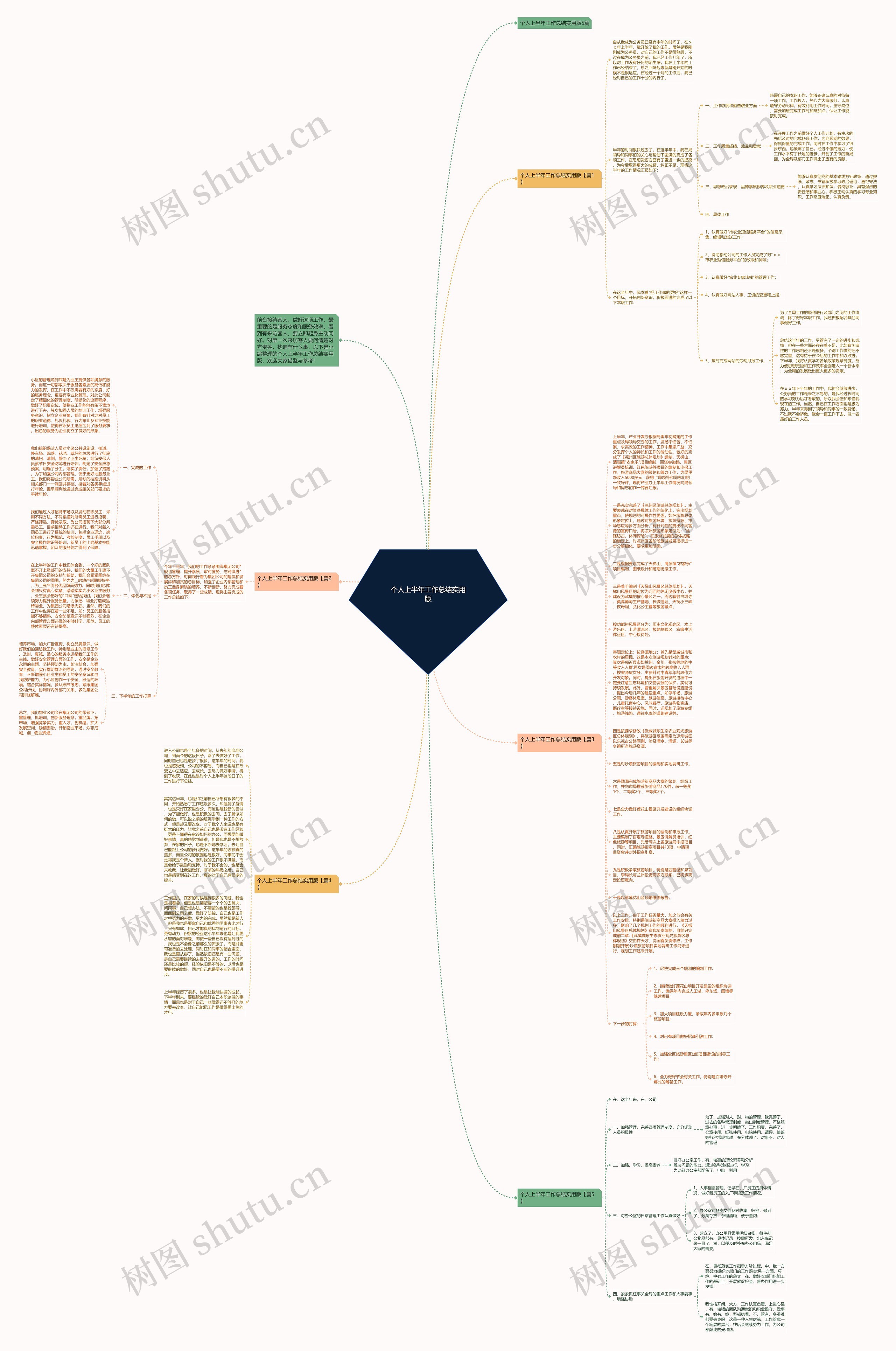 个人上半年工作总结实用版思维导图