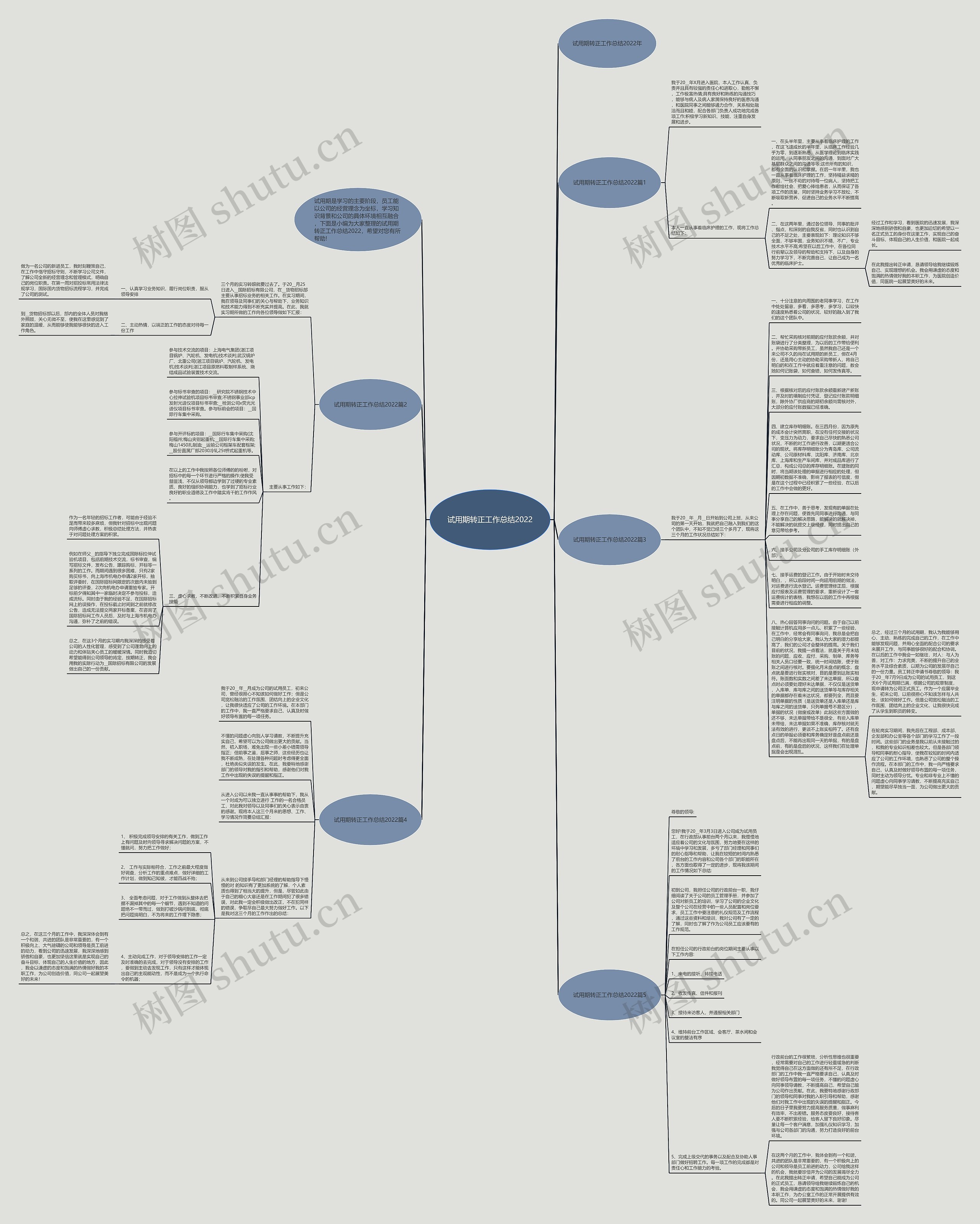 试用期转正工作总结2022思维导图