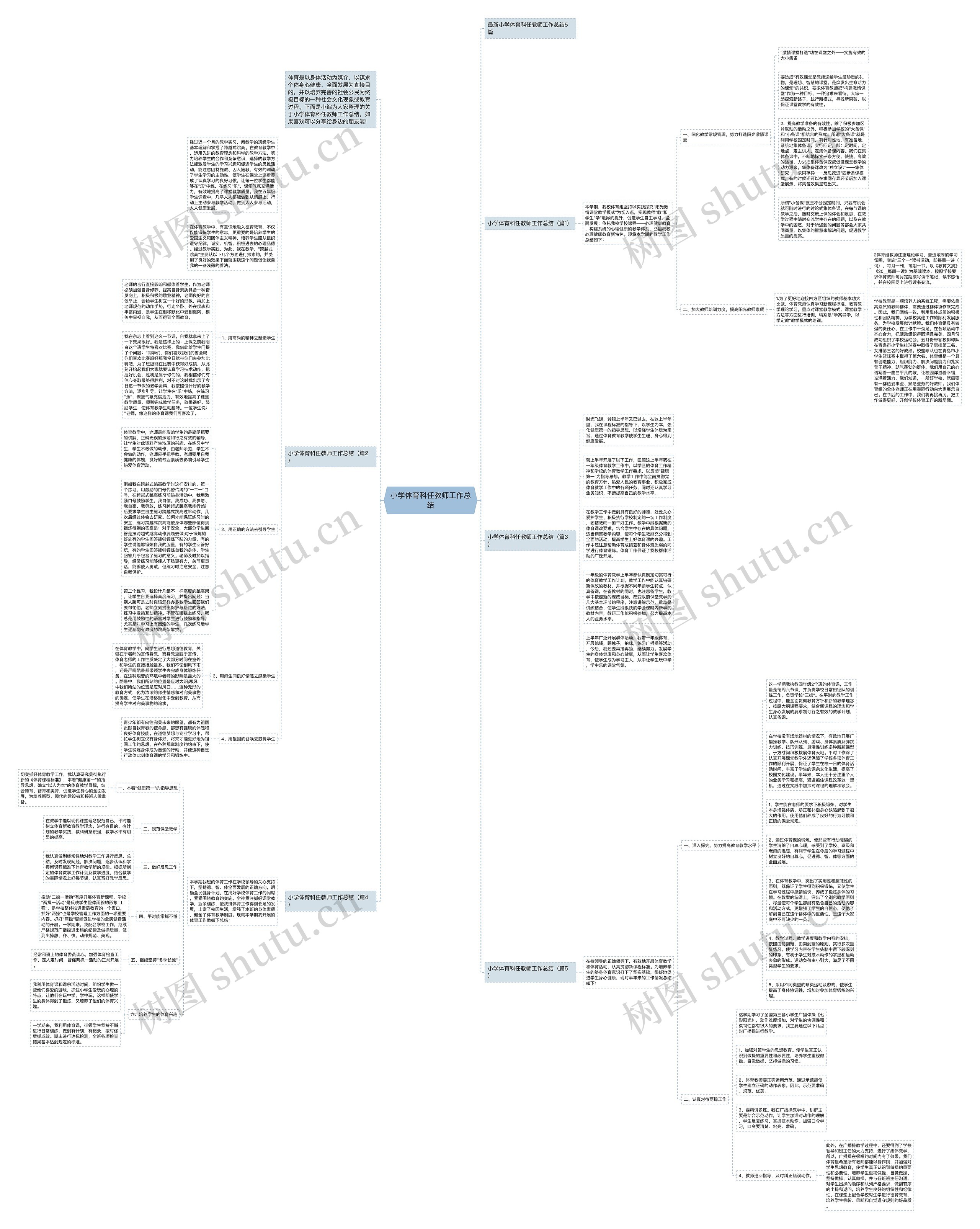 小学体育科任教师工作总结思维导图